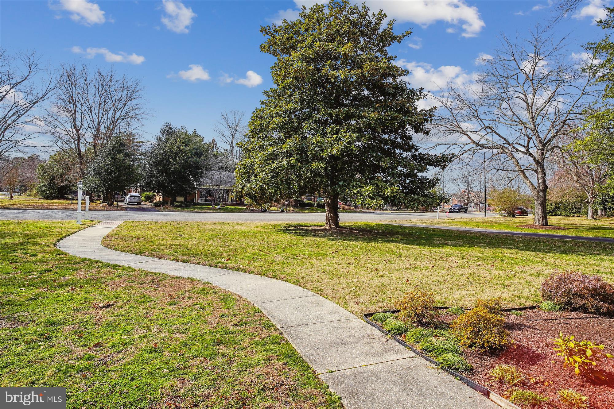 532 TRIPPE AVE