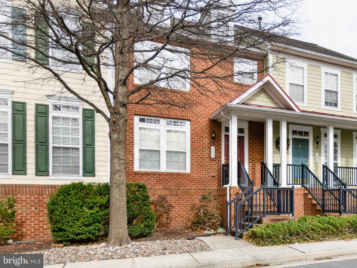 300 Dixon St #102