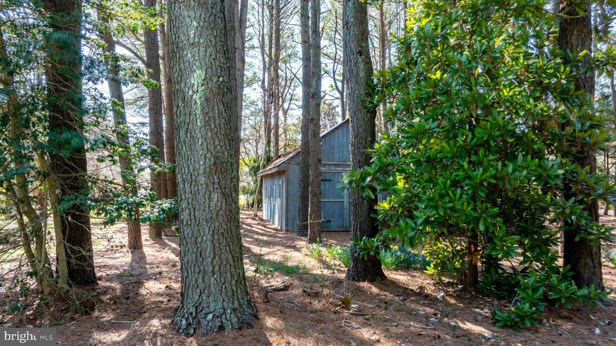 26992 Holly Harbor Ct