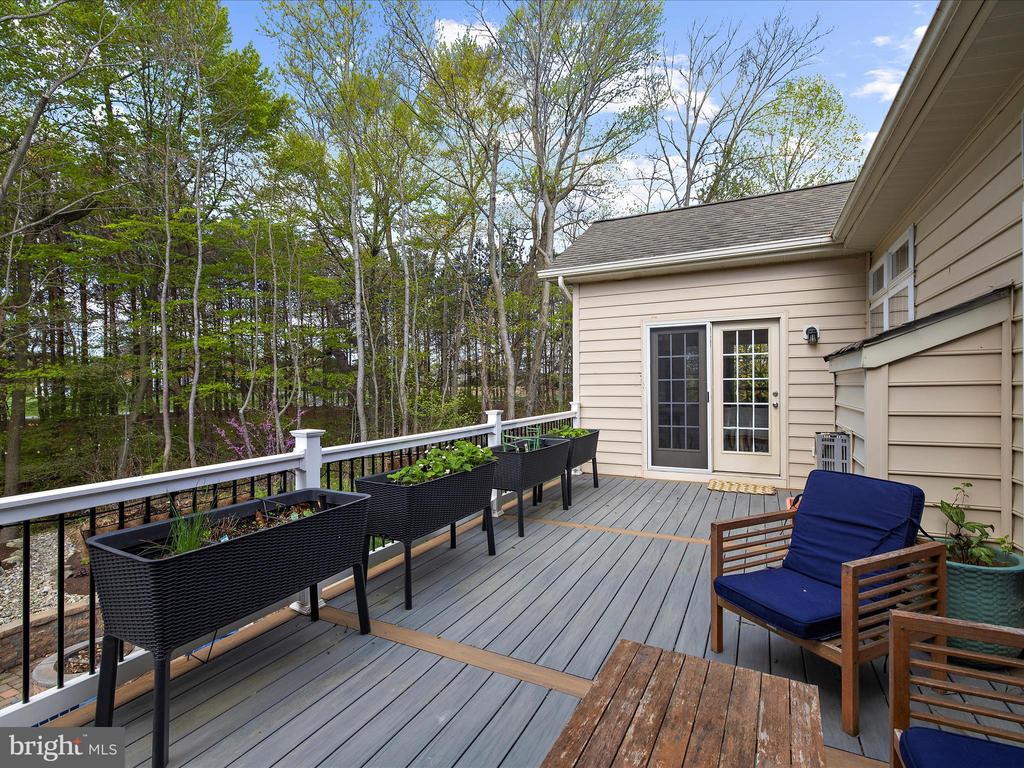 12512 Wetland View Ct