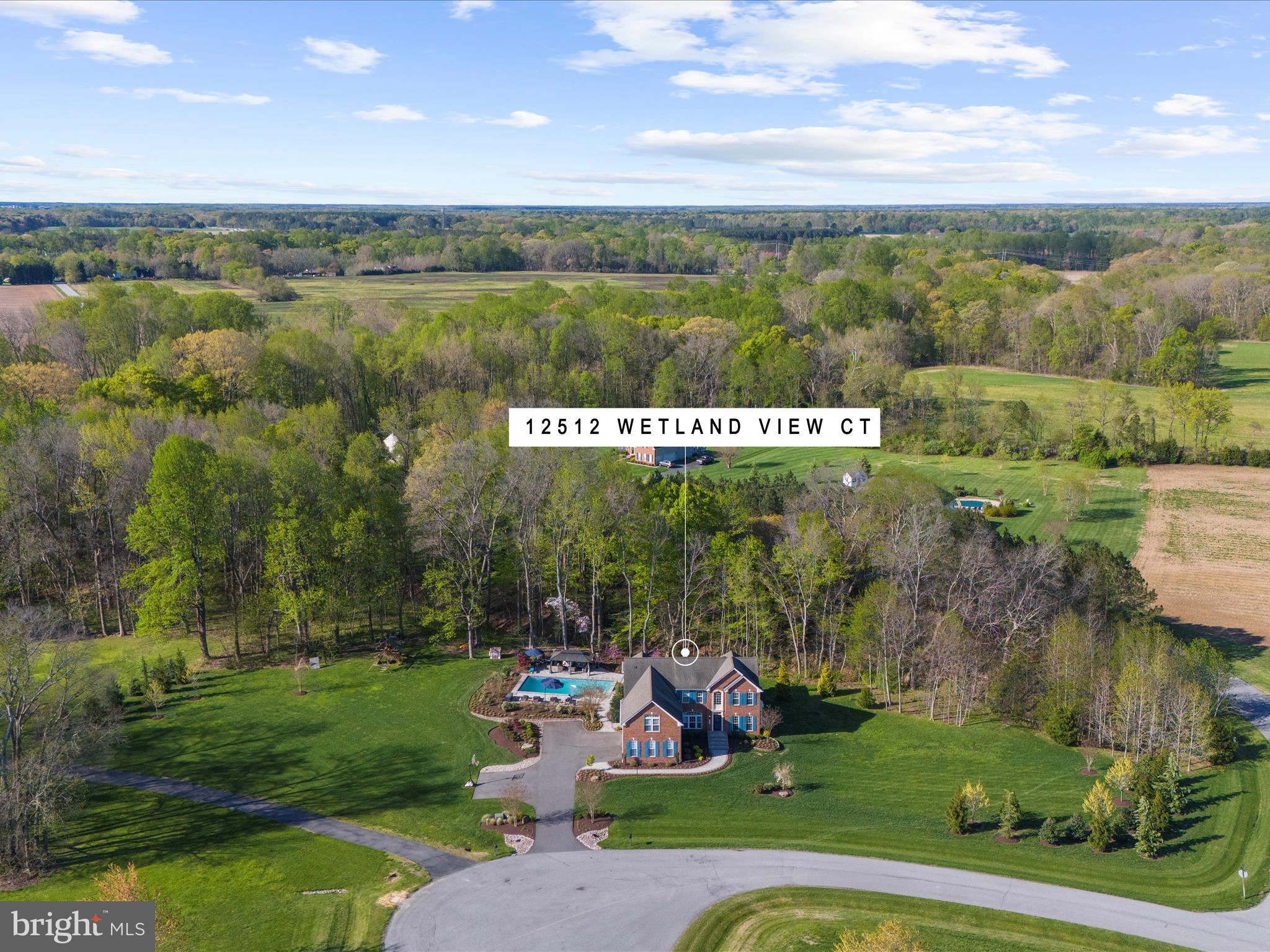 12512 Wetland View Ct