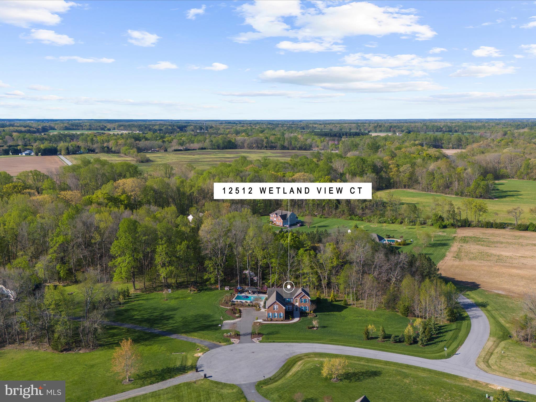 12512 Wetland View Ct