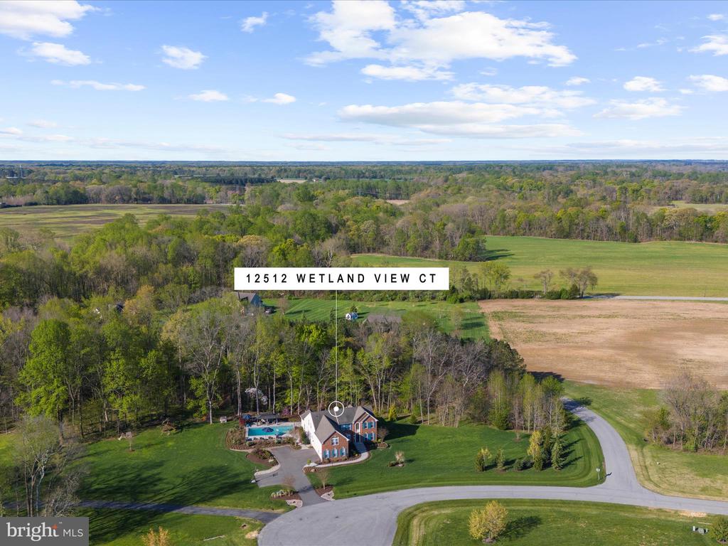 12512 Wetland View Ct