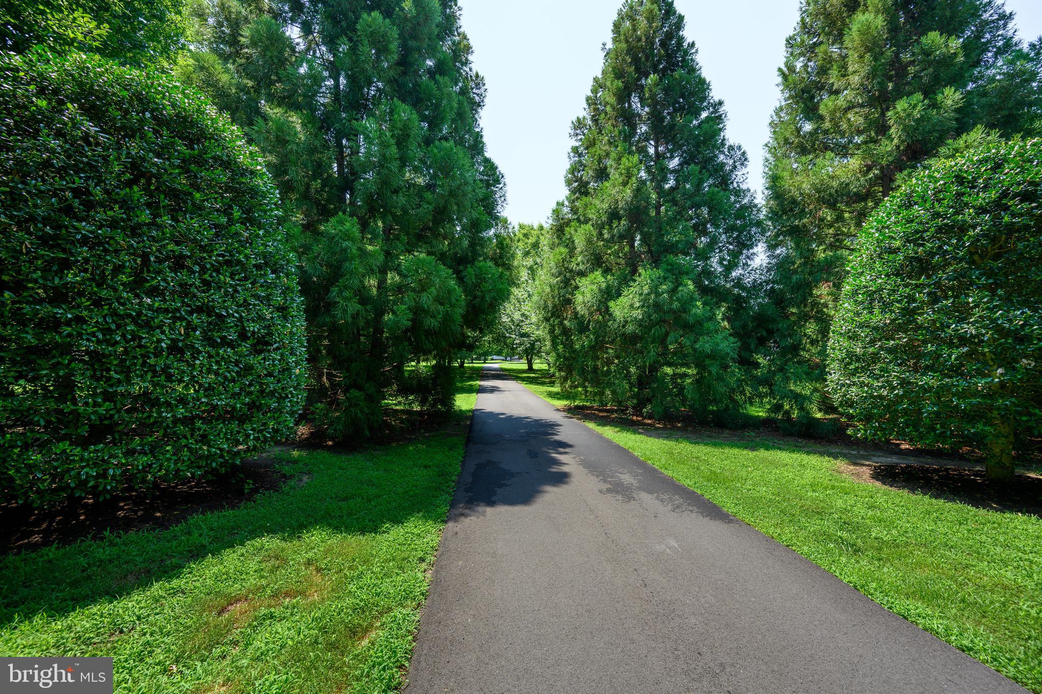 6561 BAILEYS POND ROAD