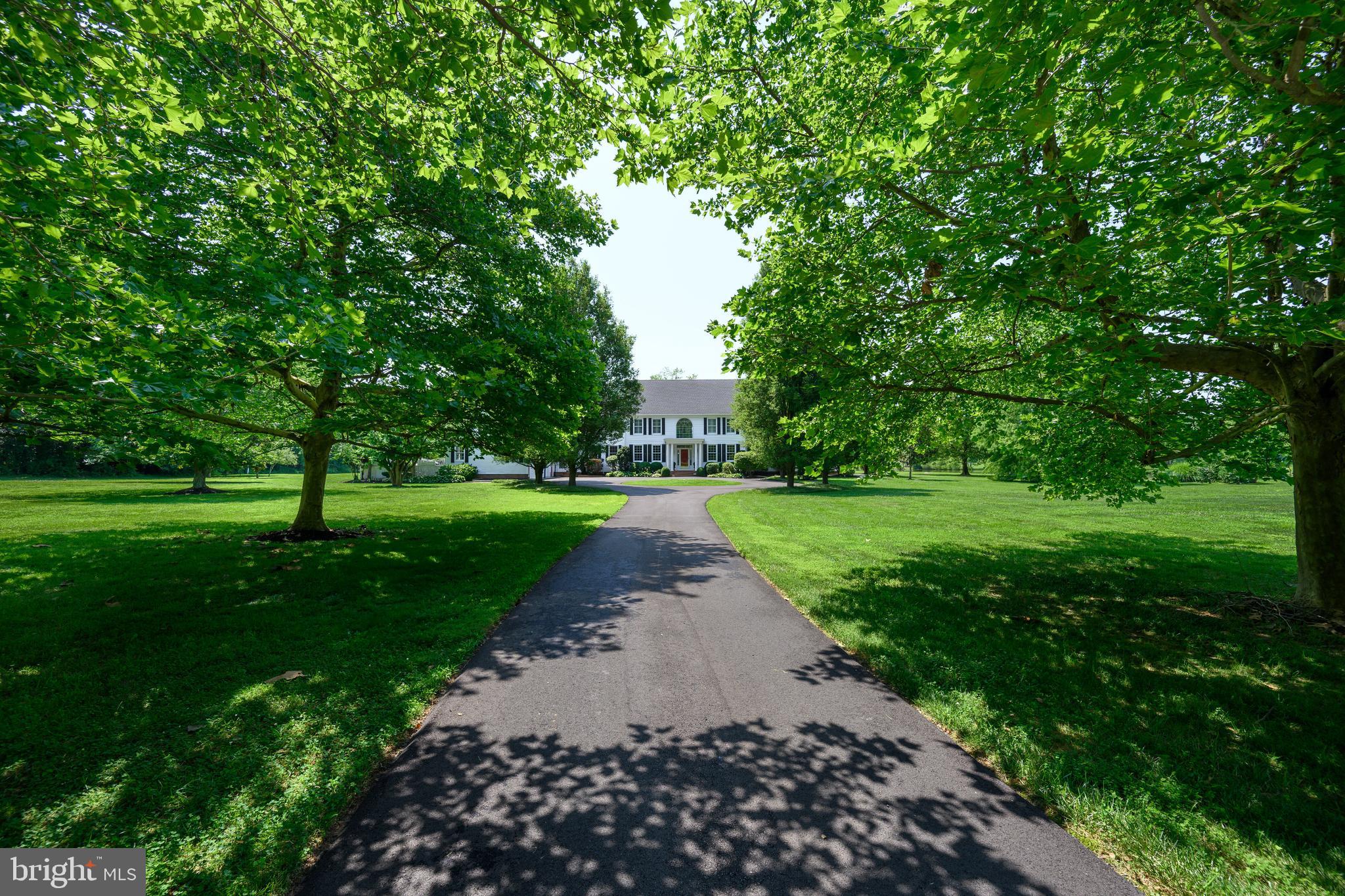 6561 BAILEYS POND ROAD