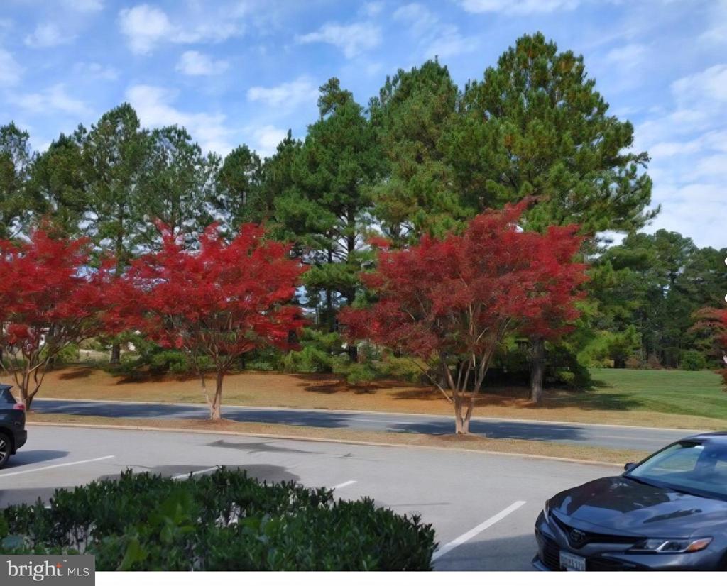 7406 TOUR DRIVE