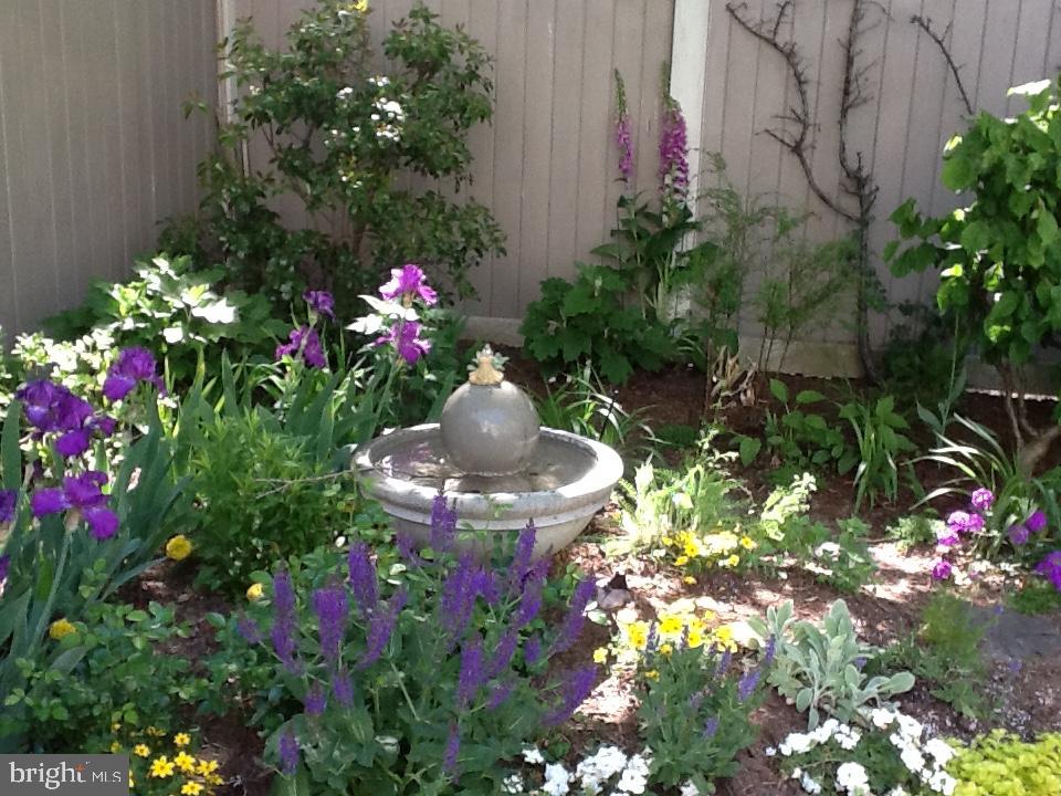 28713 EMANUEL STREET