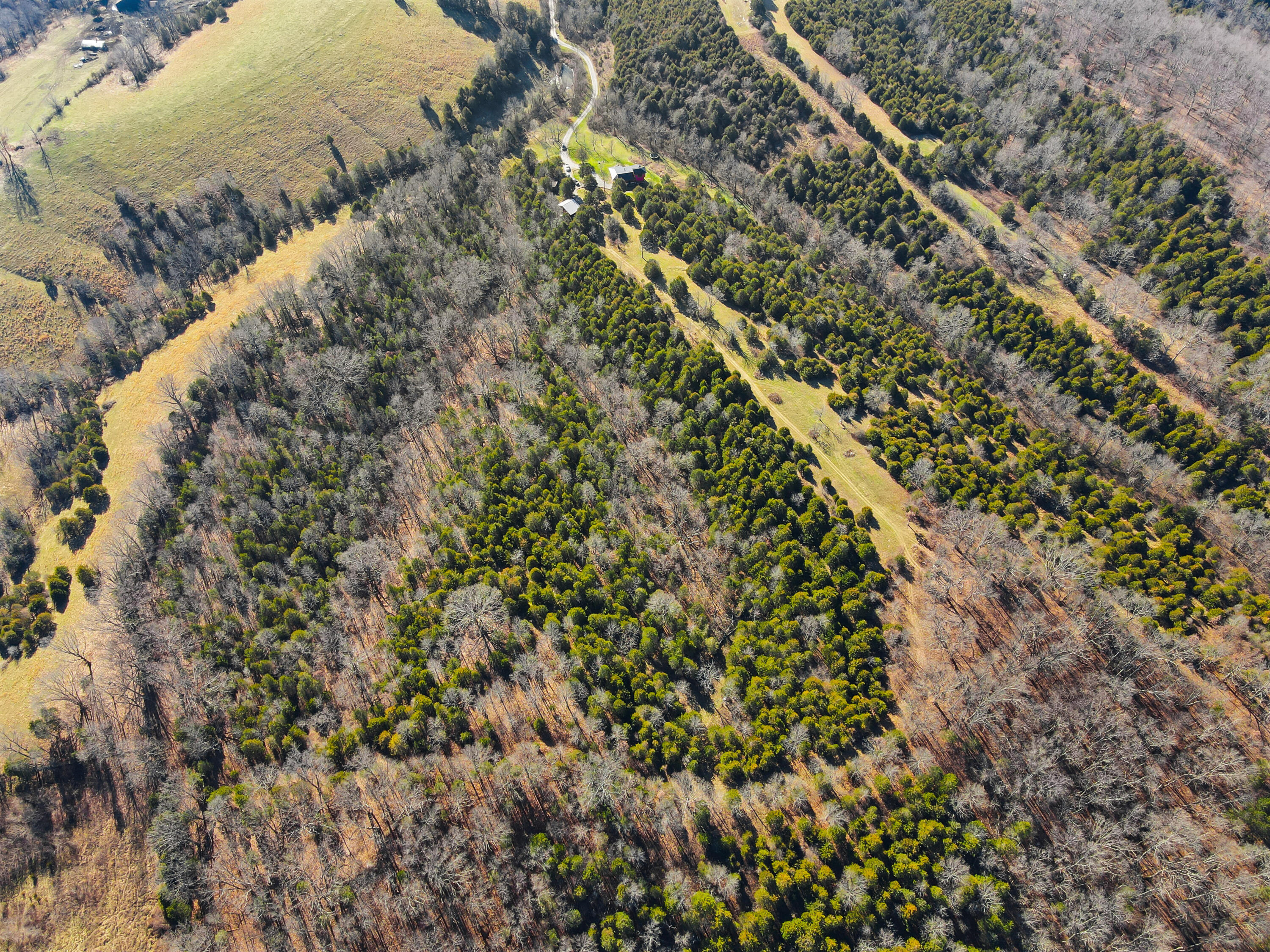 1245 Sharp Road