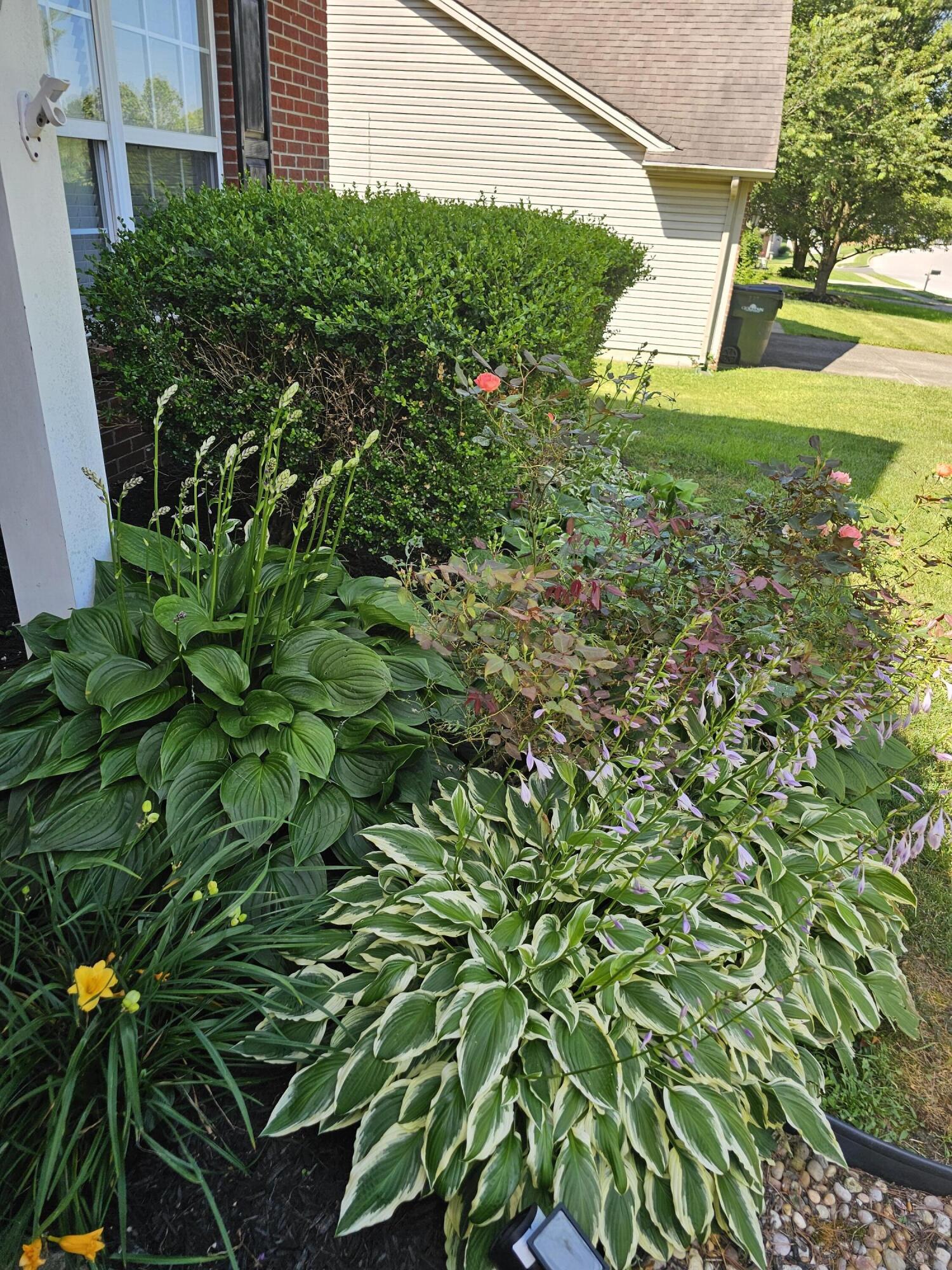 137 W Showalter Drive
