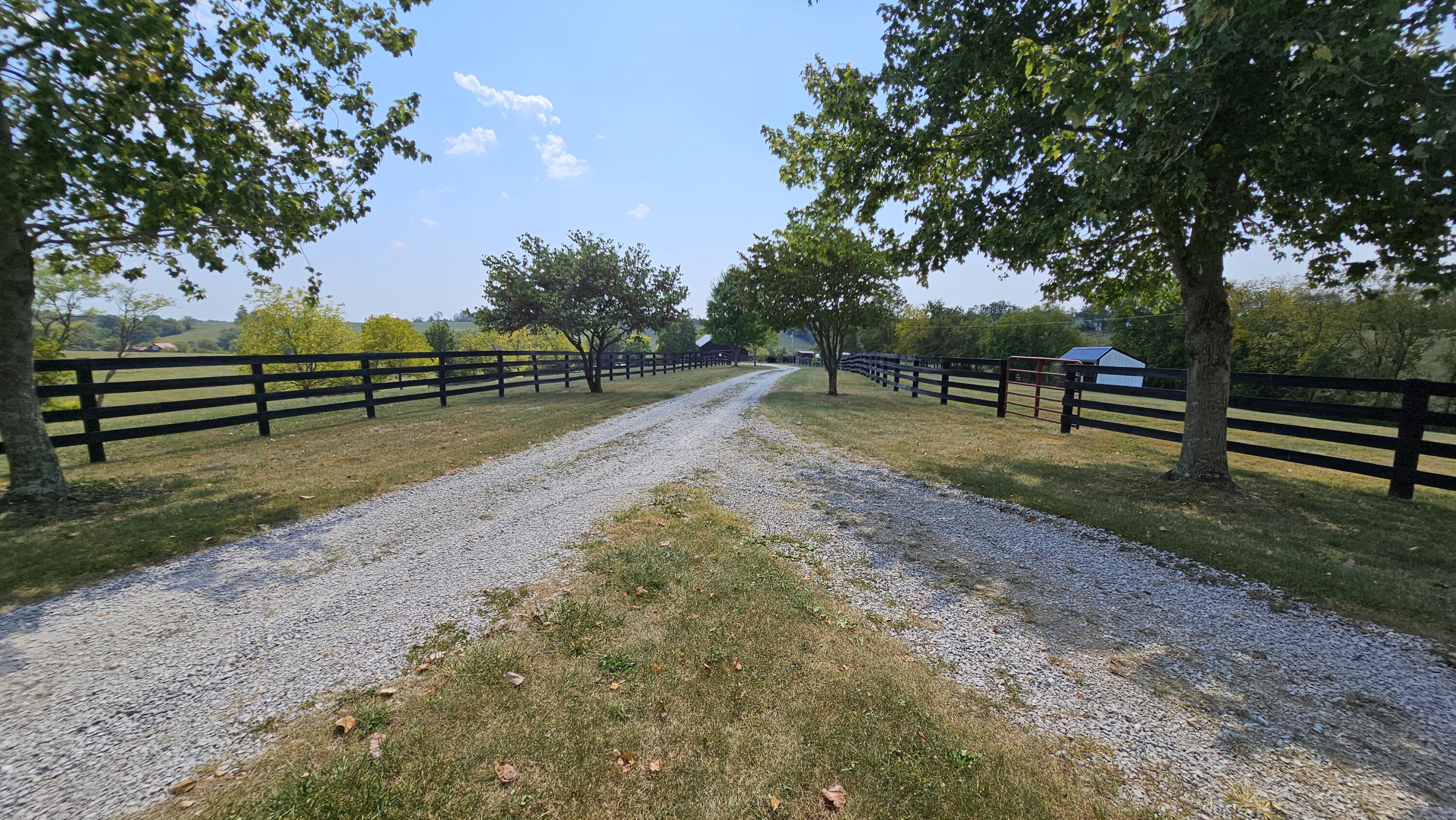 3397 Maysville Road