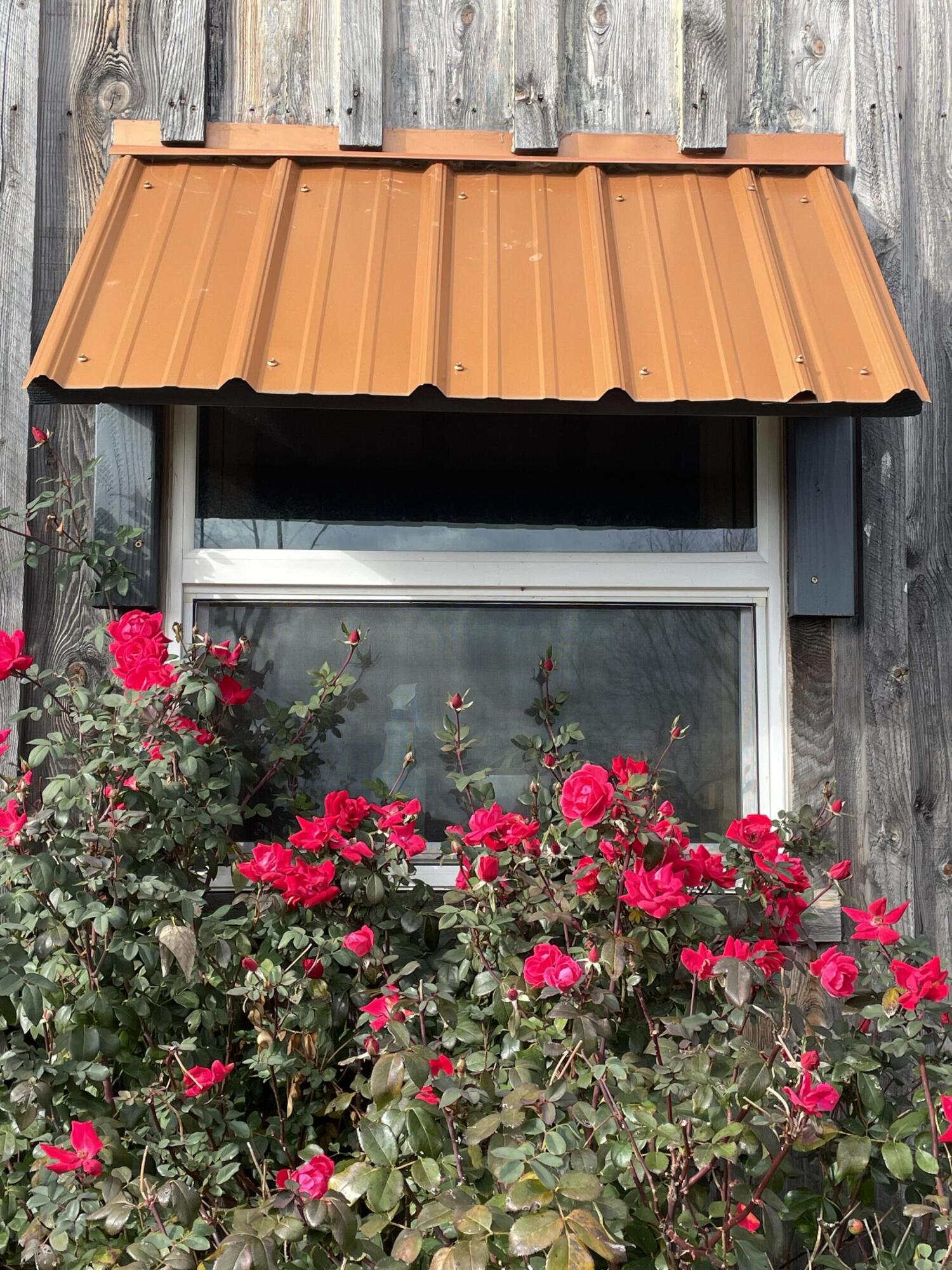 401 Cane Ridge Road