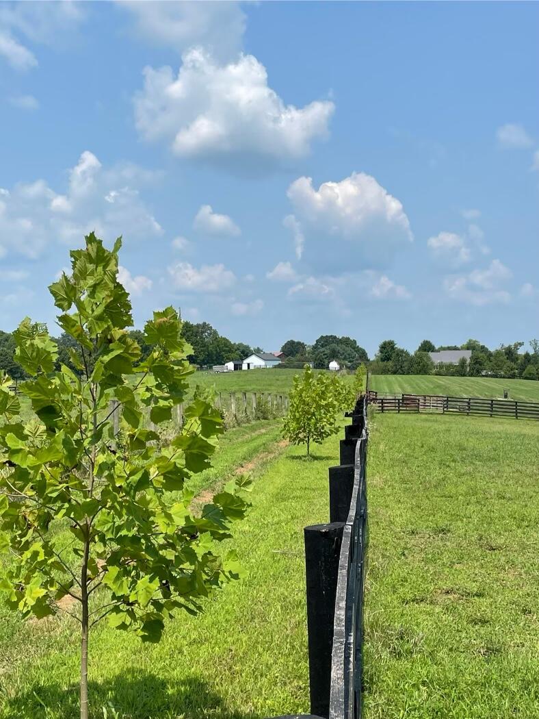 401 Cane Ridge Road