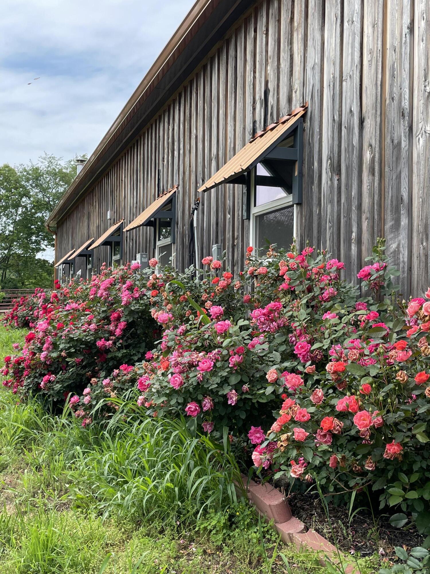 401 Cane Ridge Road