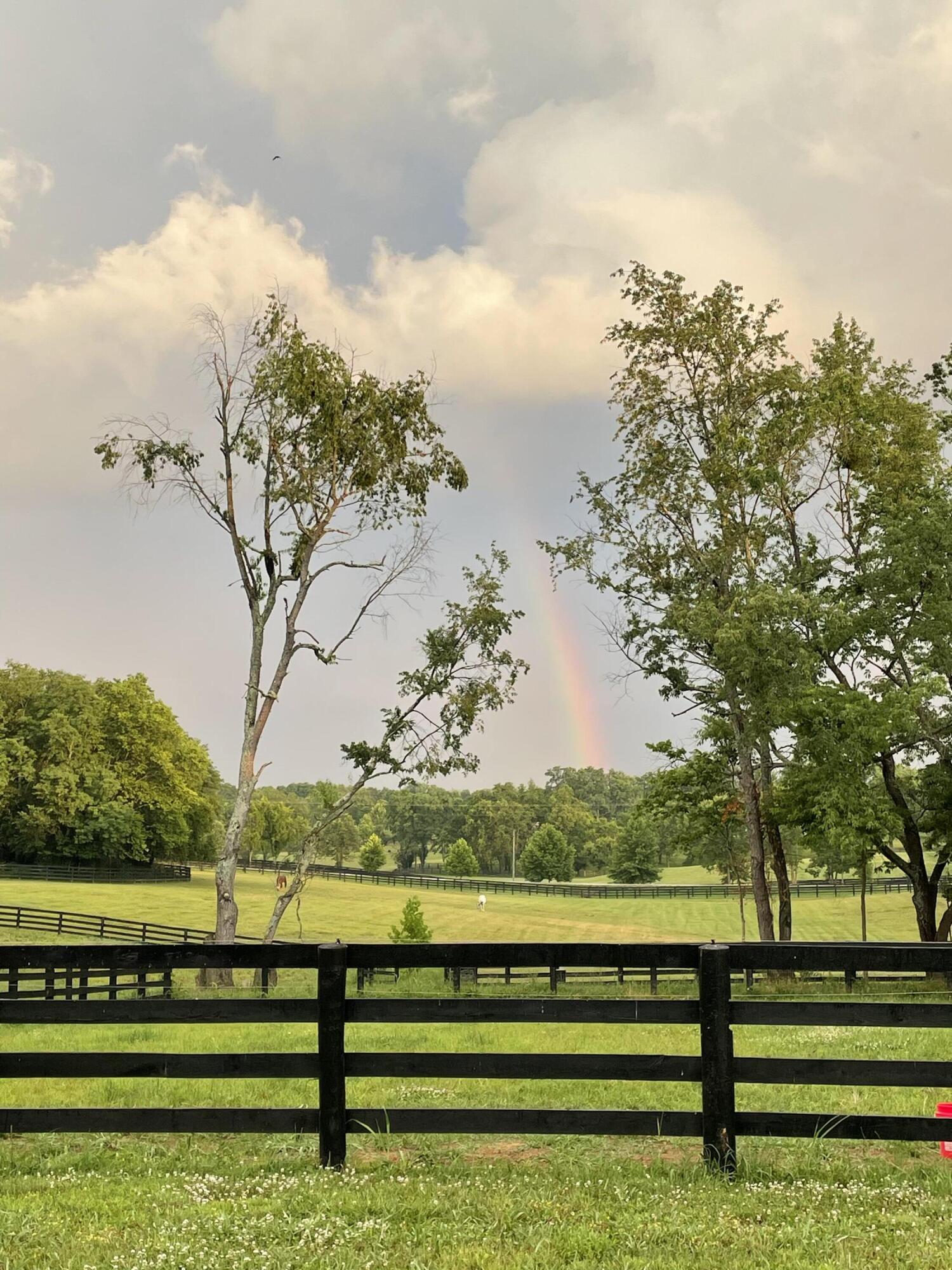 401 Cane Ridge Road