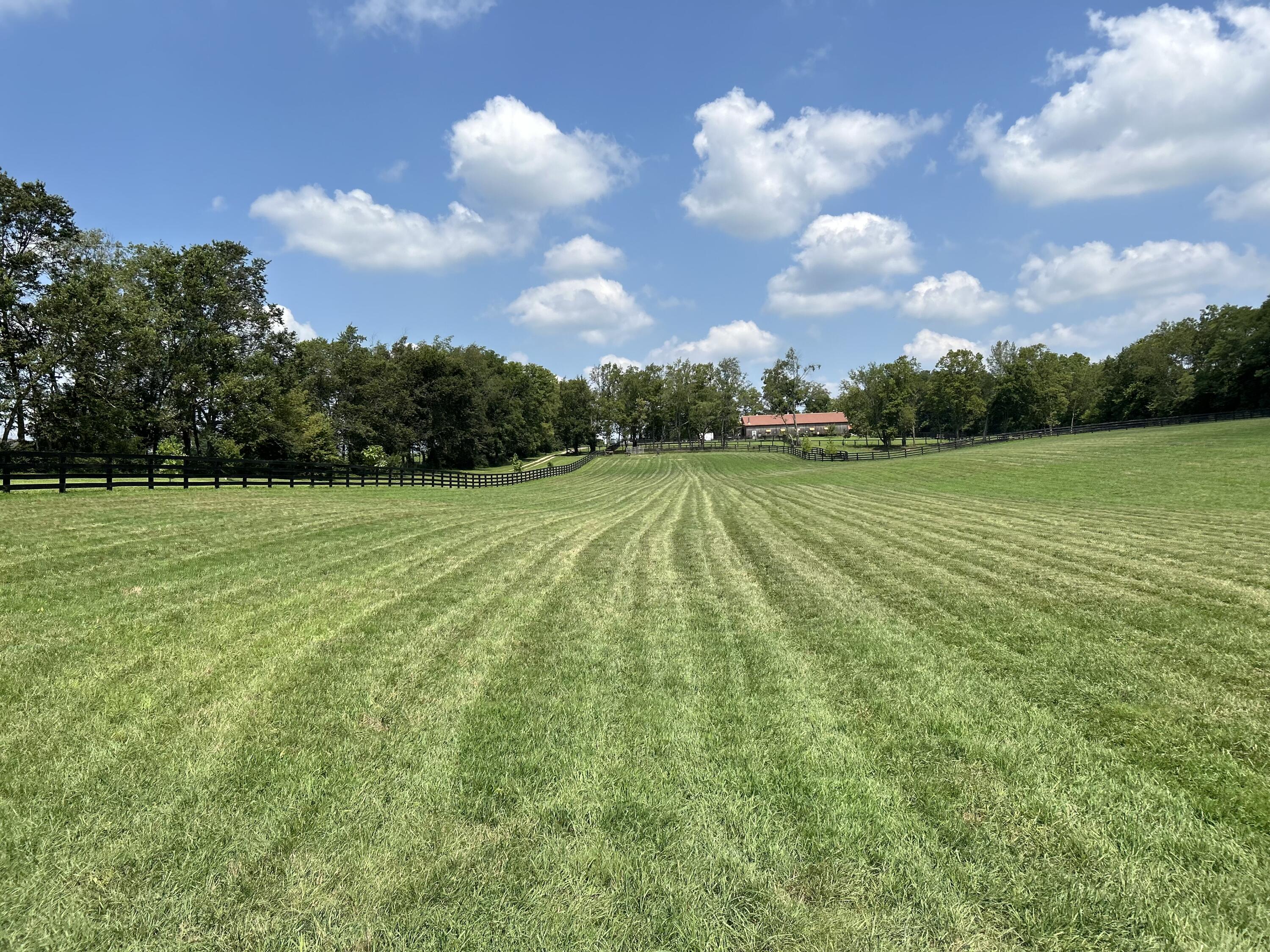 401 Cane Ridge Road