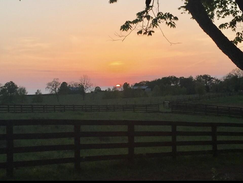 401 Cane Ridge Road