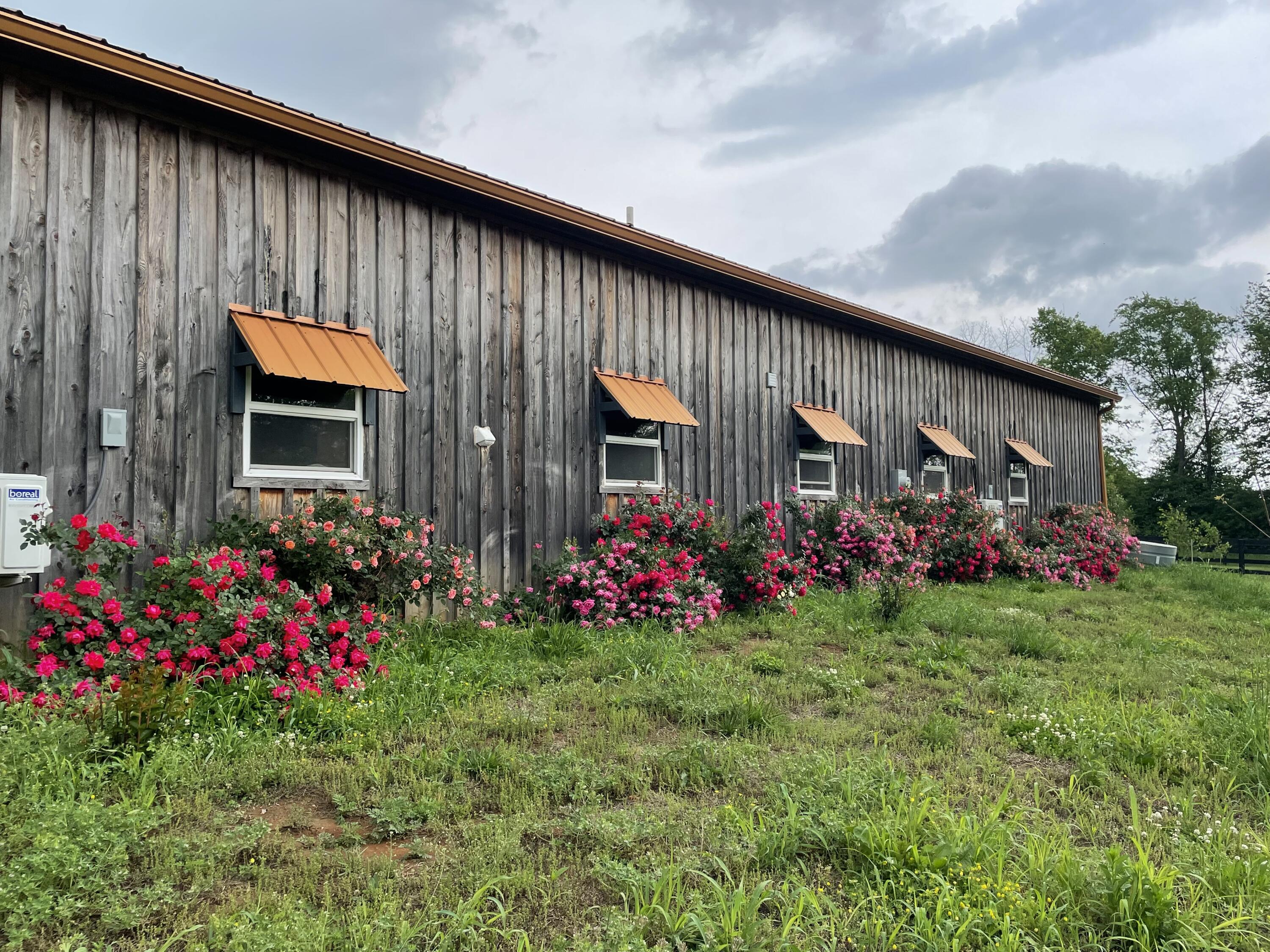 401 Cane Ridge Road