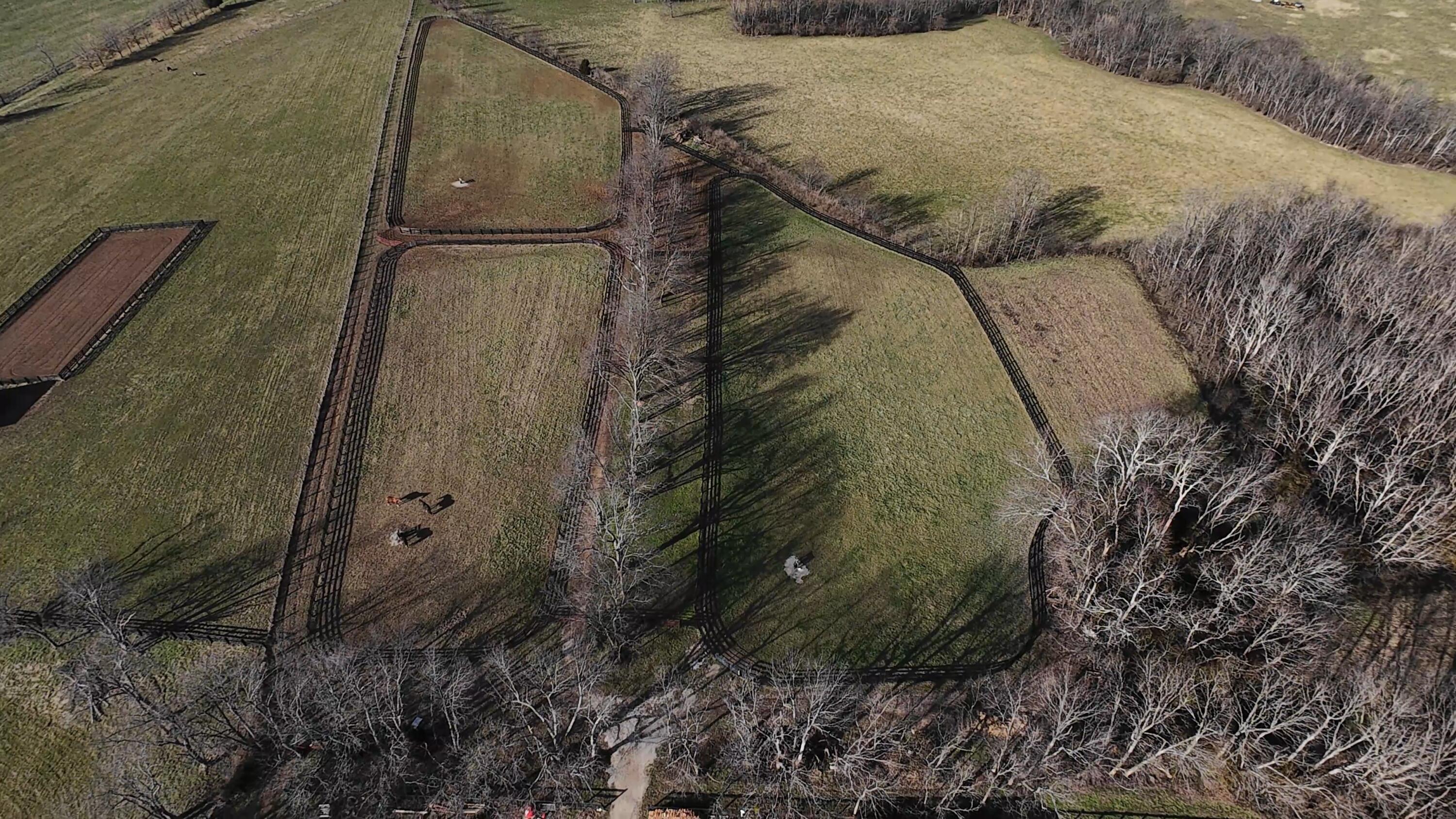 401 Cane Ridge Road