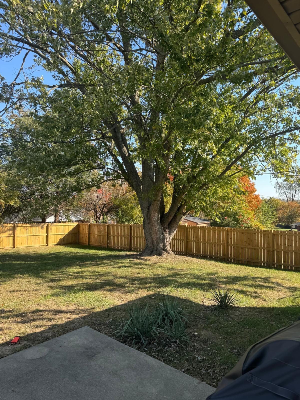 205 Shawnee Trail