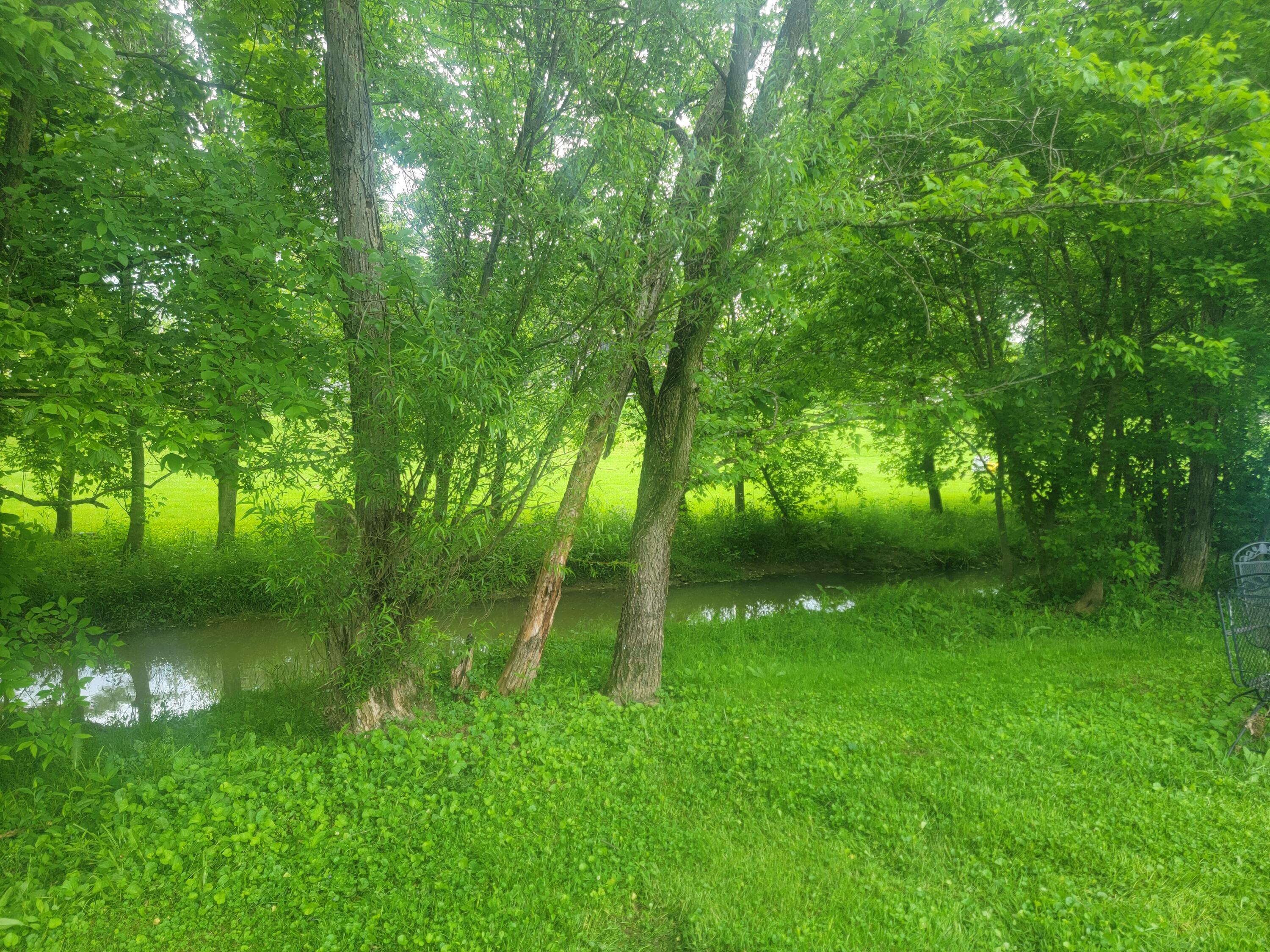 4544 Ky Highway 1842 North
