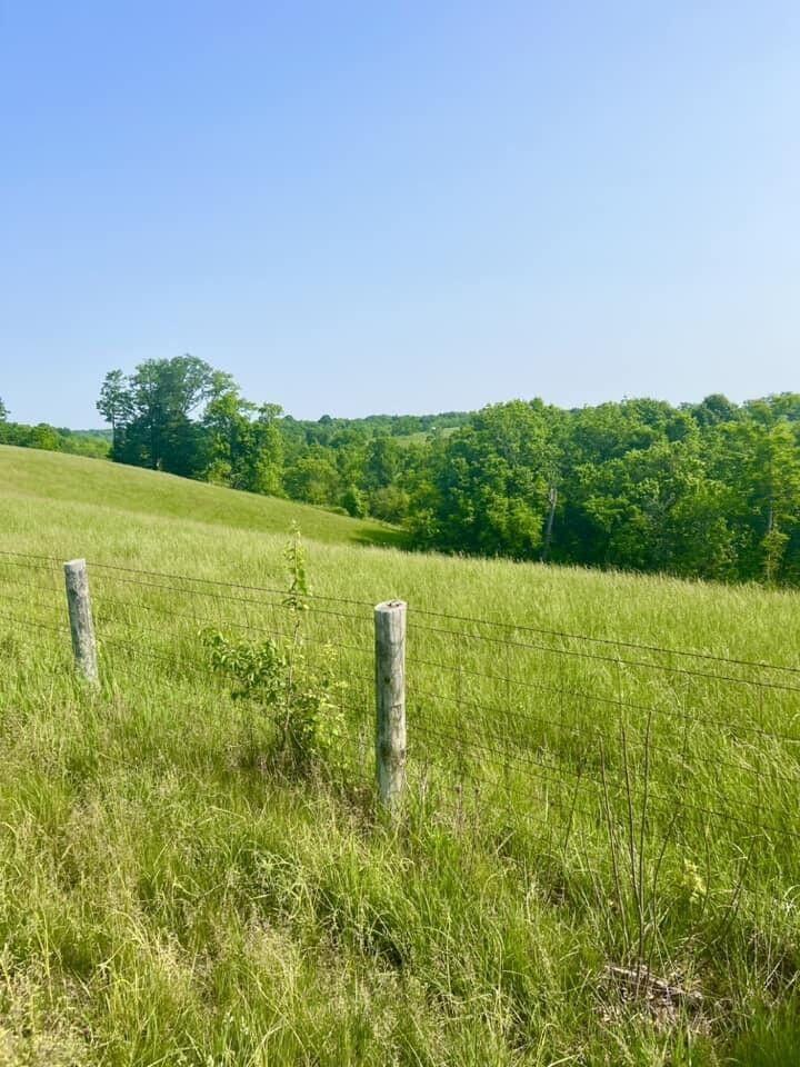 192 Stone Lane
