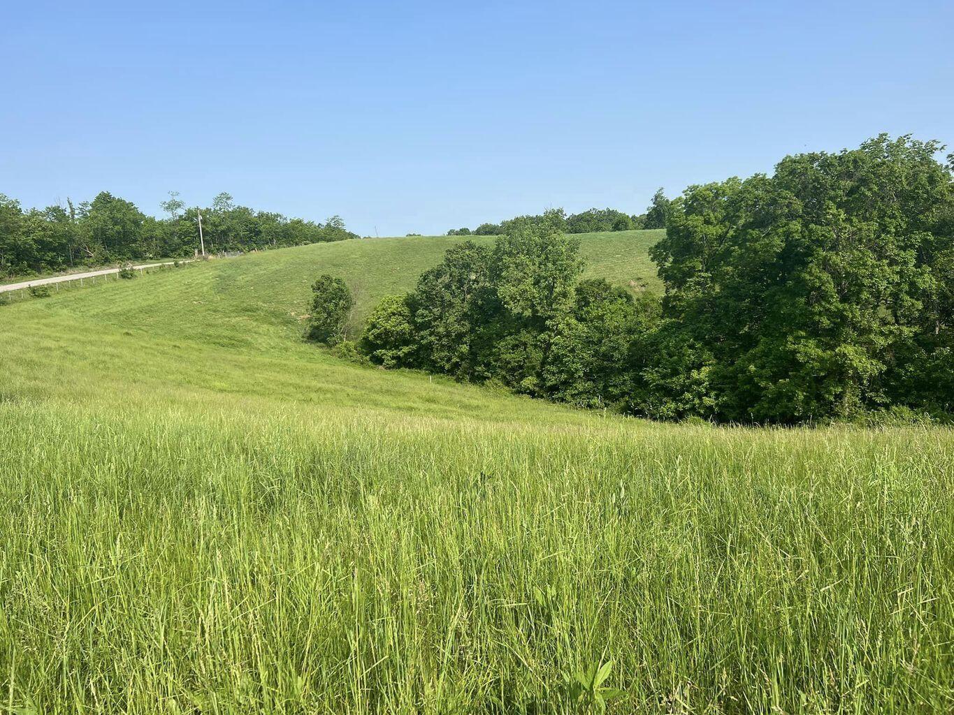 192 Stone Lane