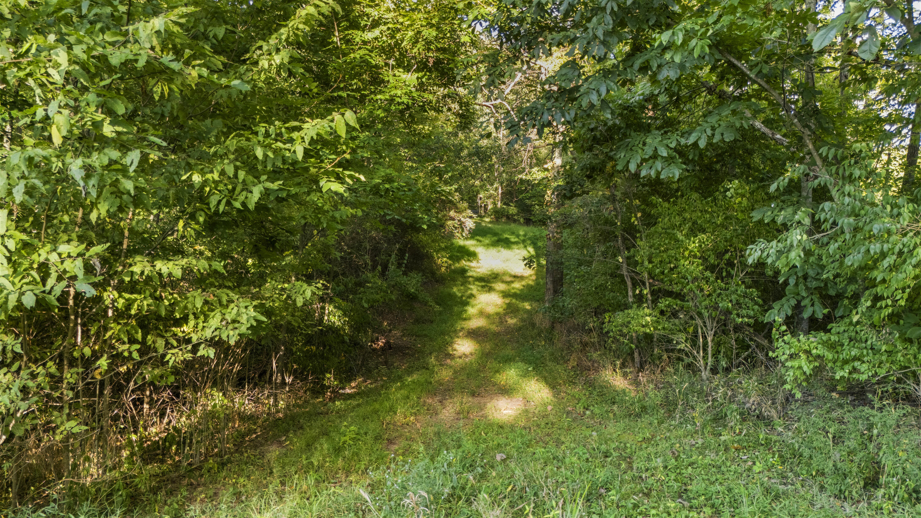 769 Anderson Road