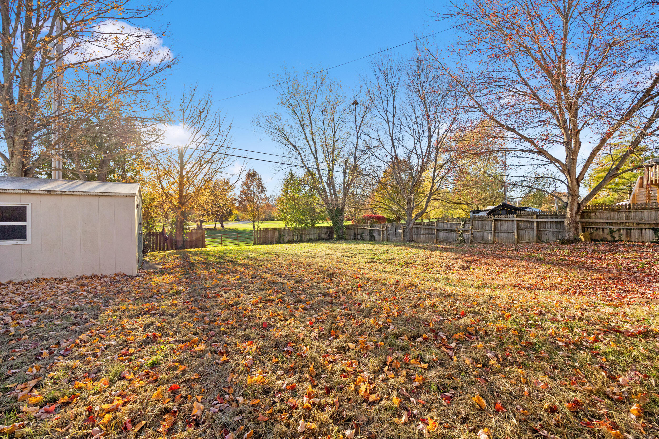 117 Dale Hollow Drive