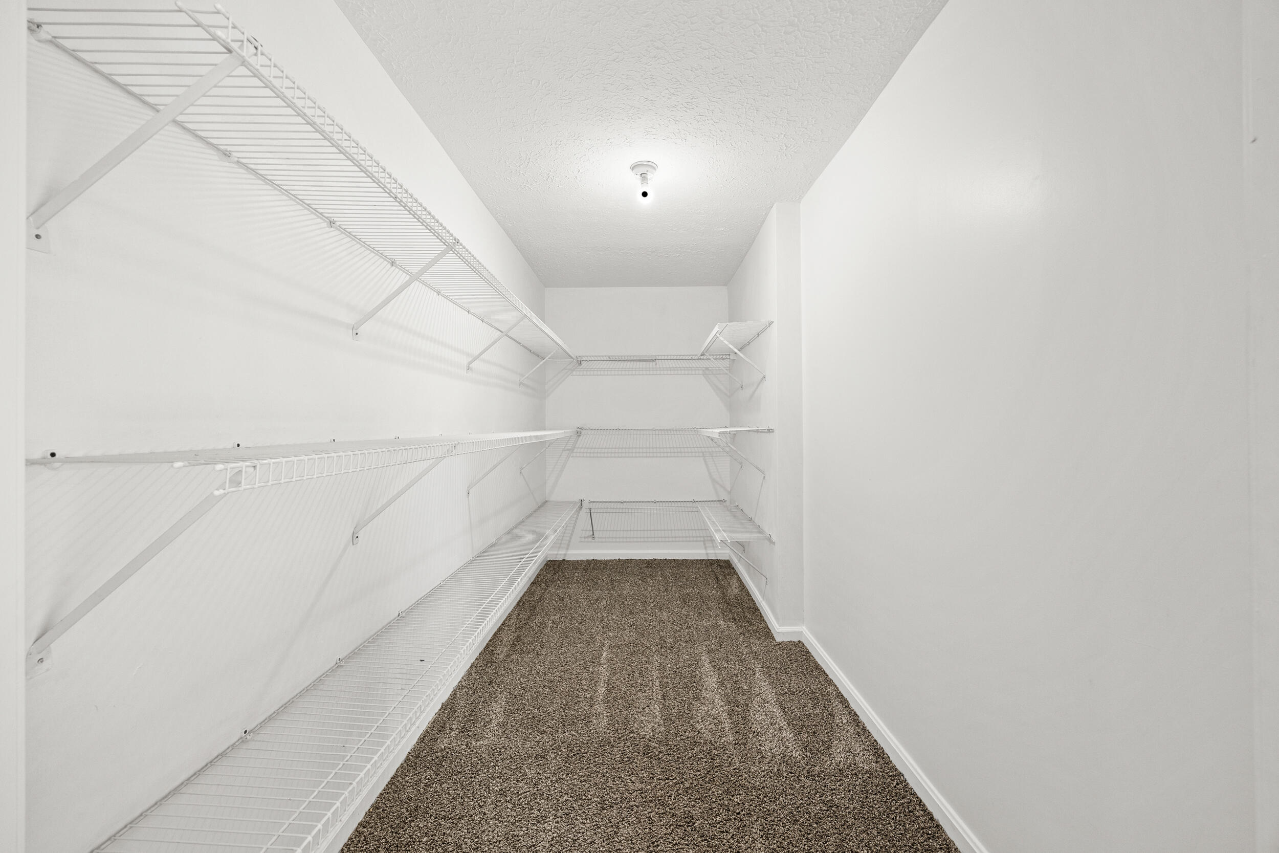 117 Dale Hollow Drive