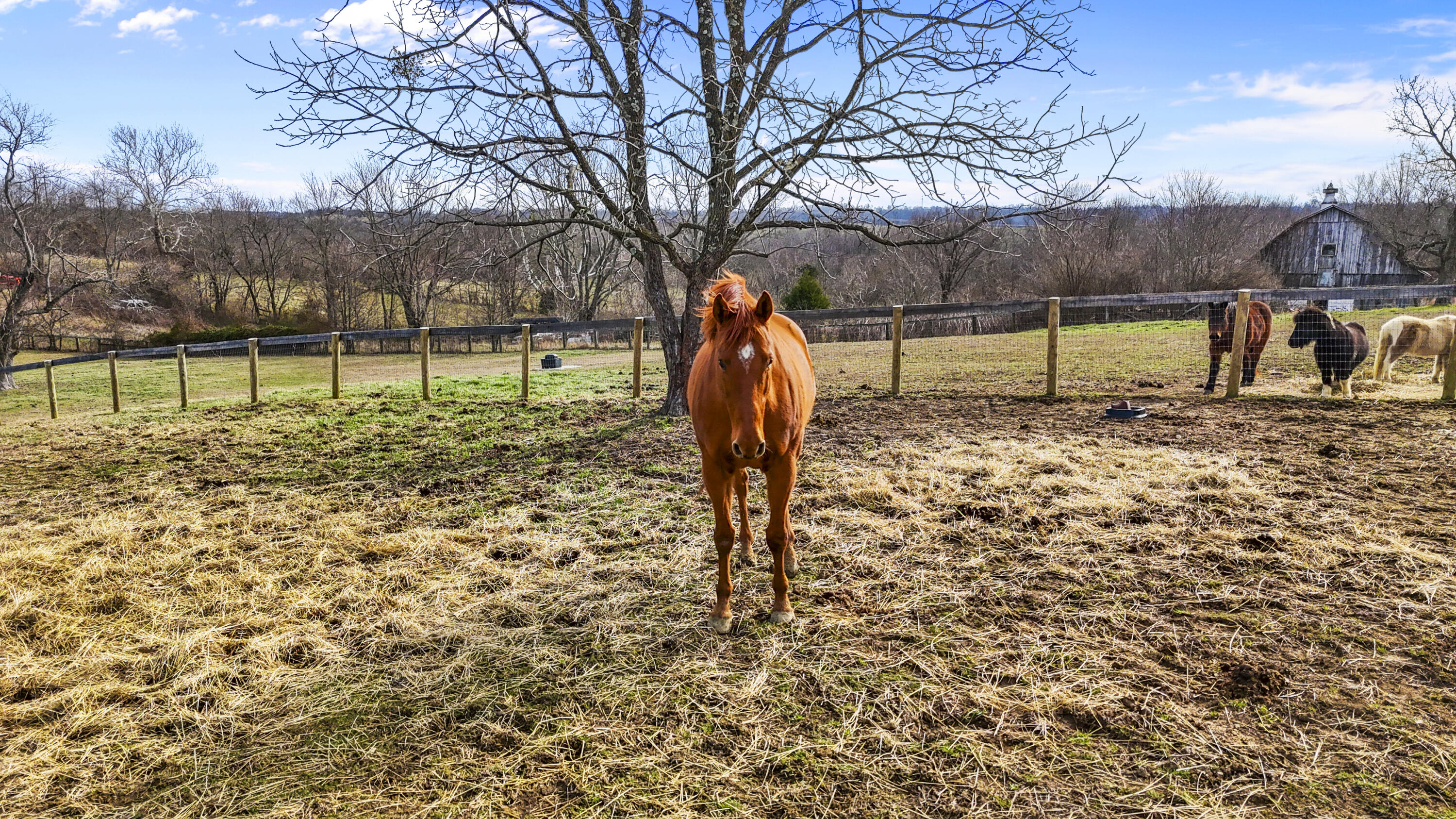 1700 Cabin Creek Road