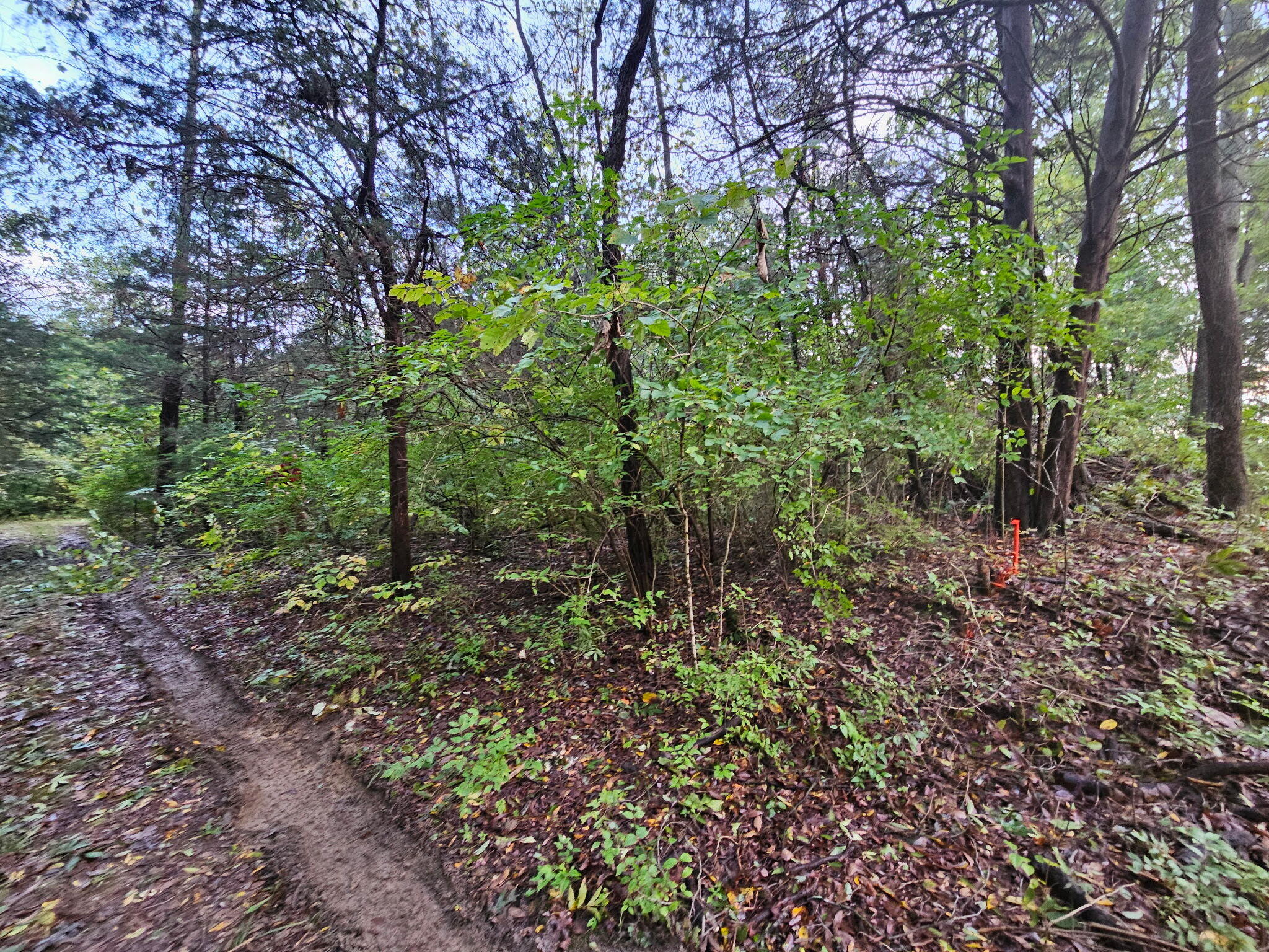 9999 Entrance Drive