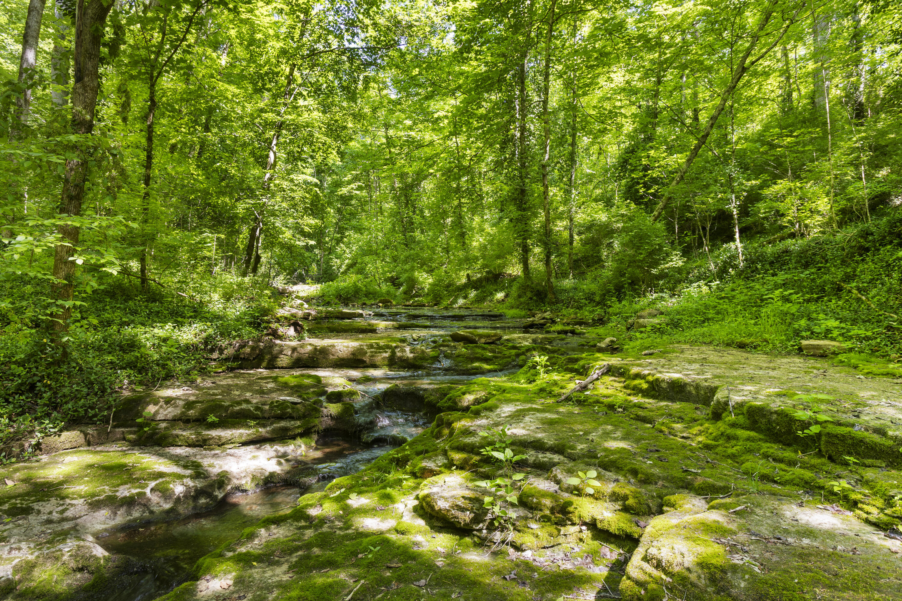8039 Old Richmond Road