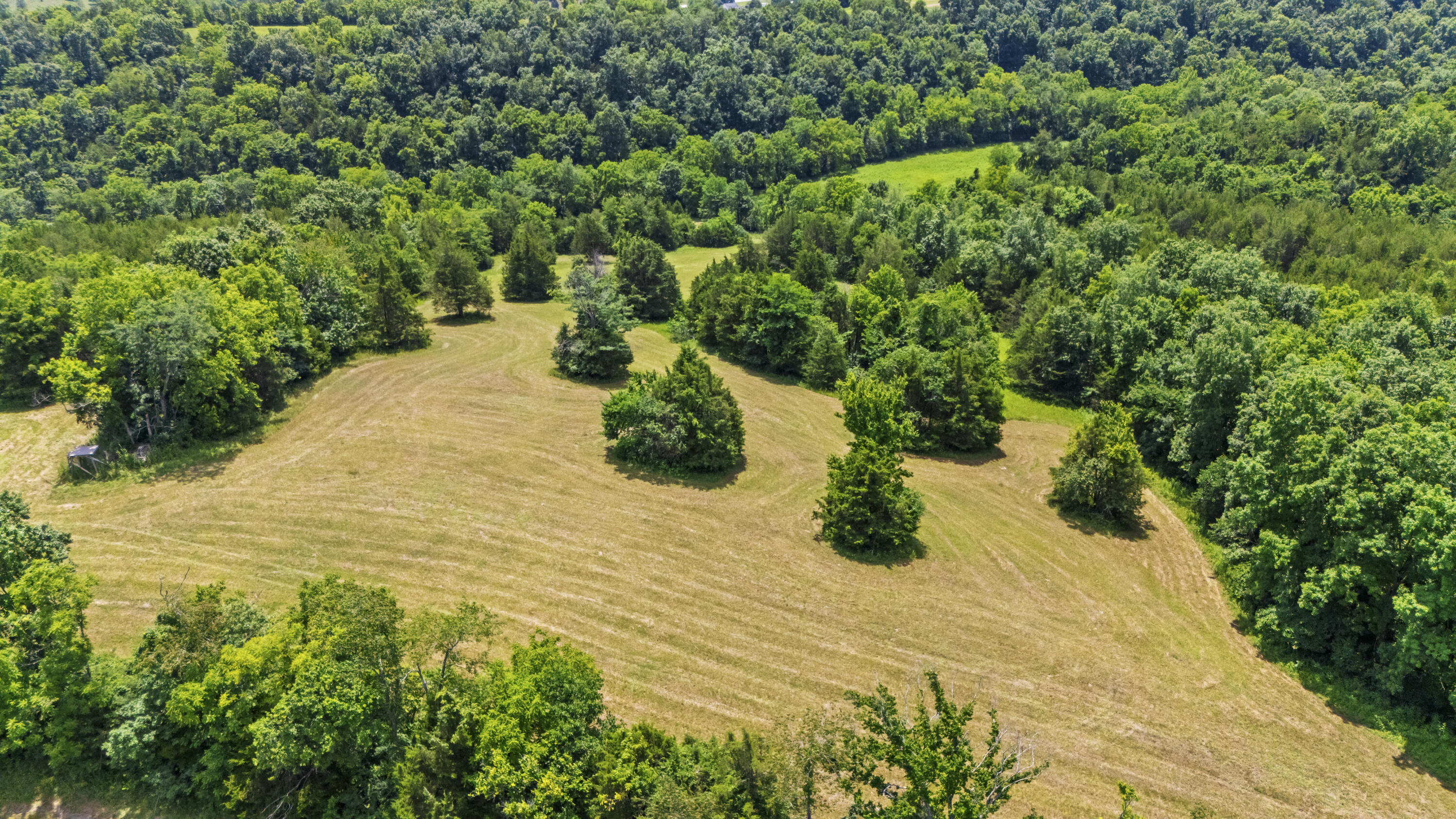 7055 Maysville Road