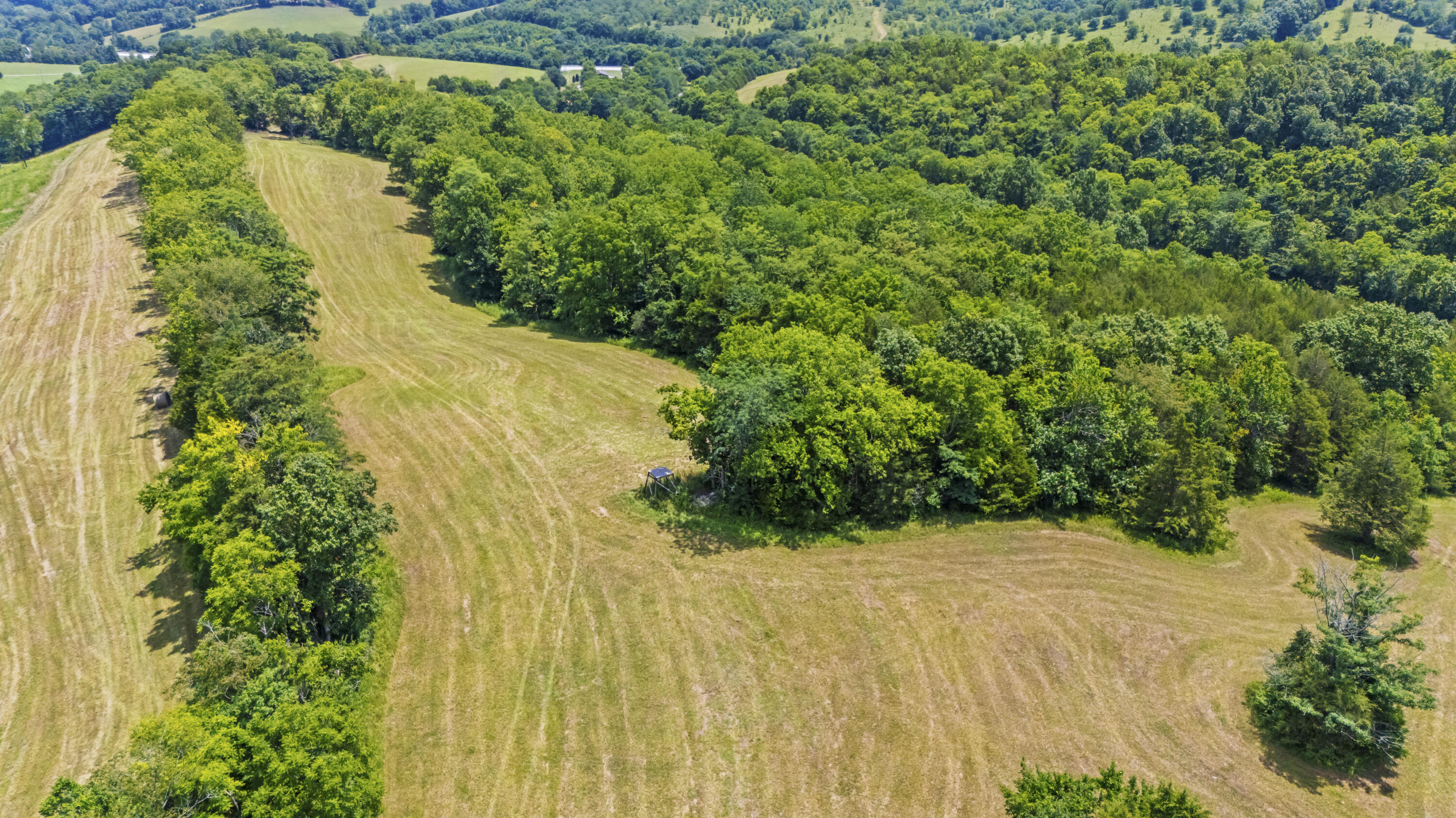 7055 Maysville Road