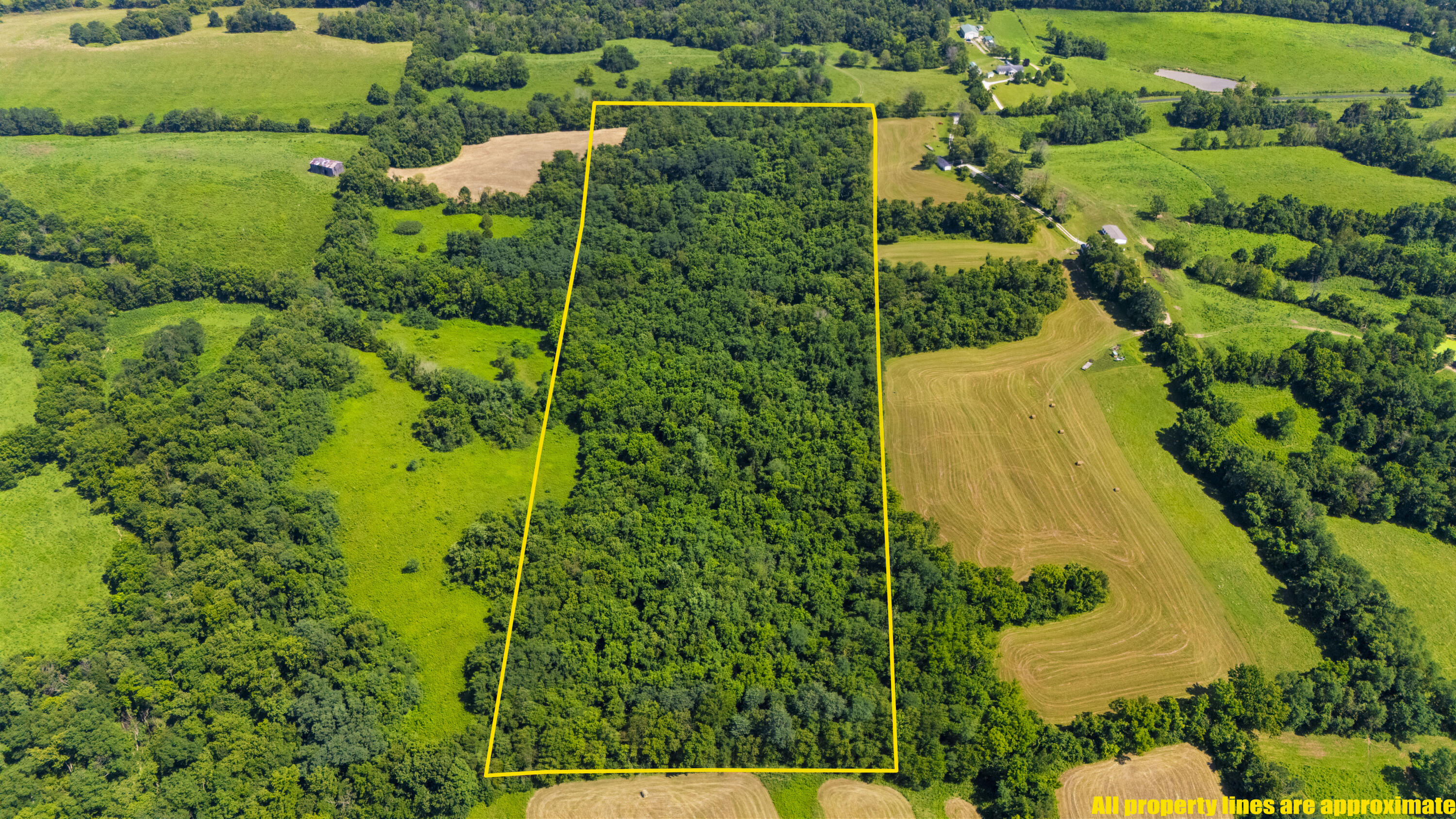 223A Plum Lick Road