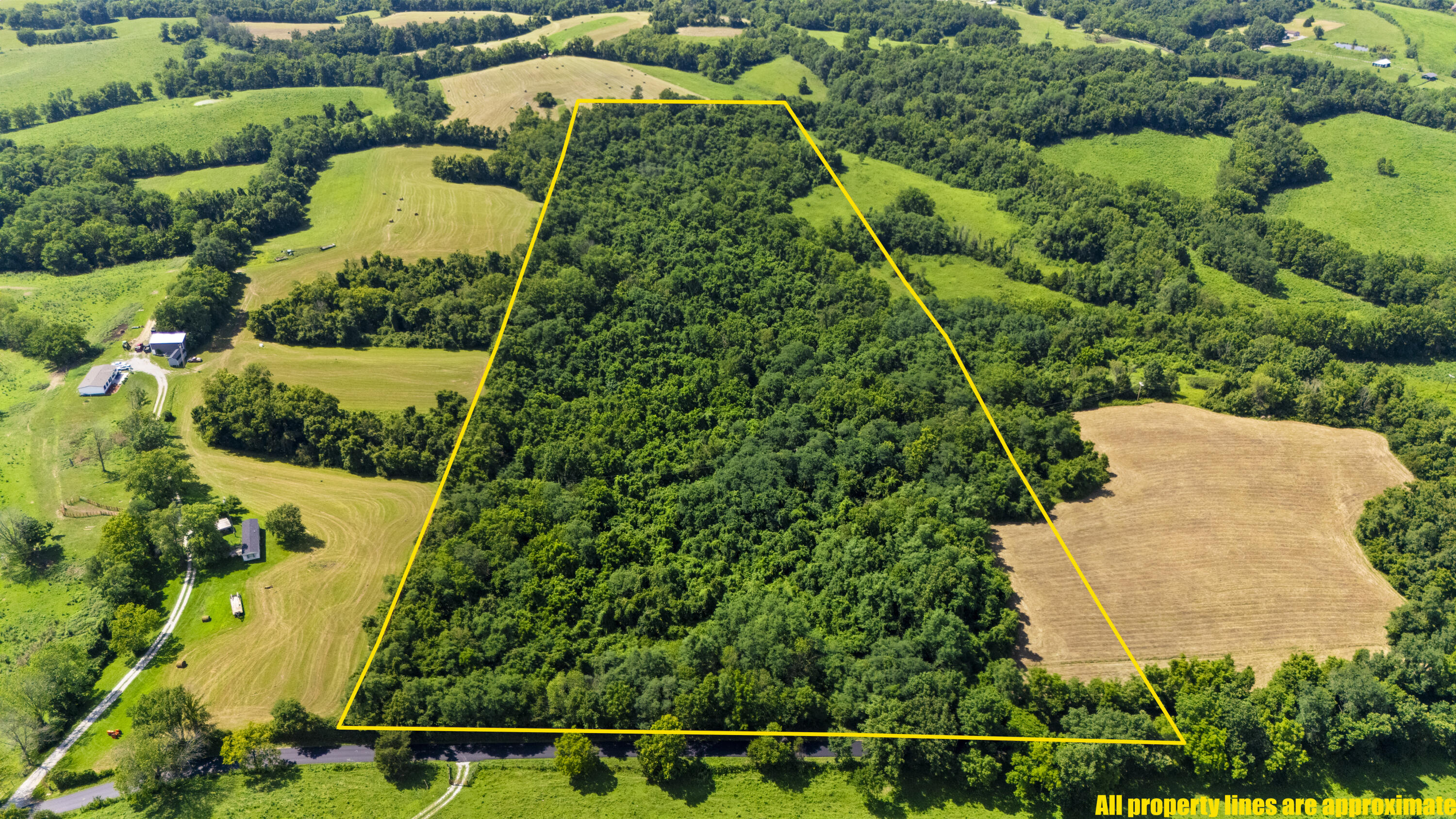 223A Plum Lick Road