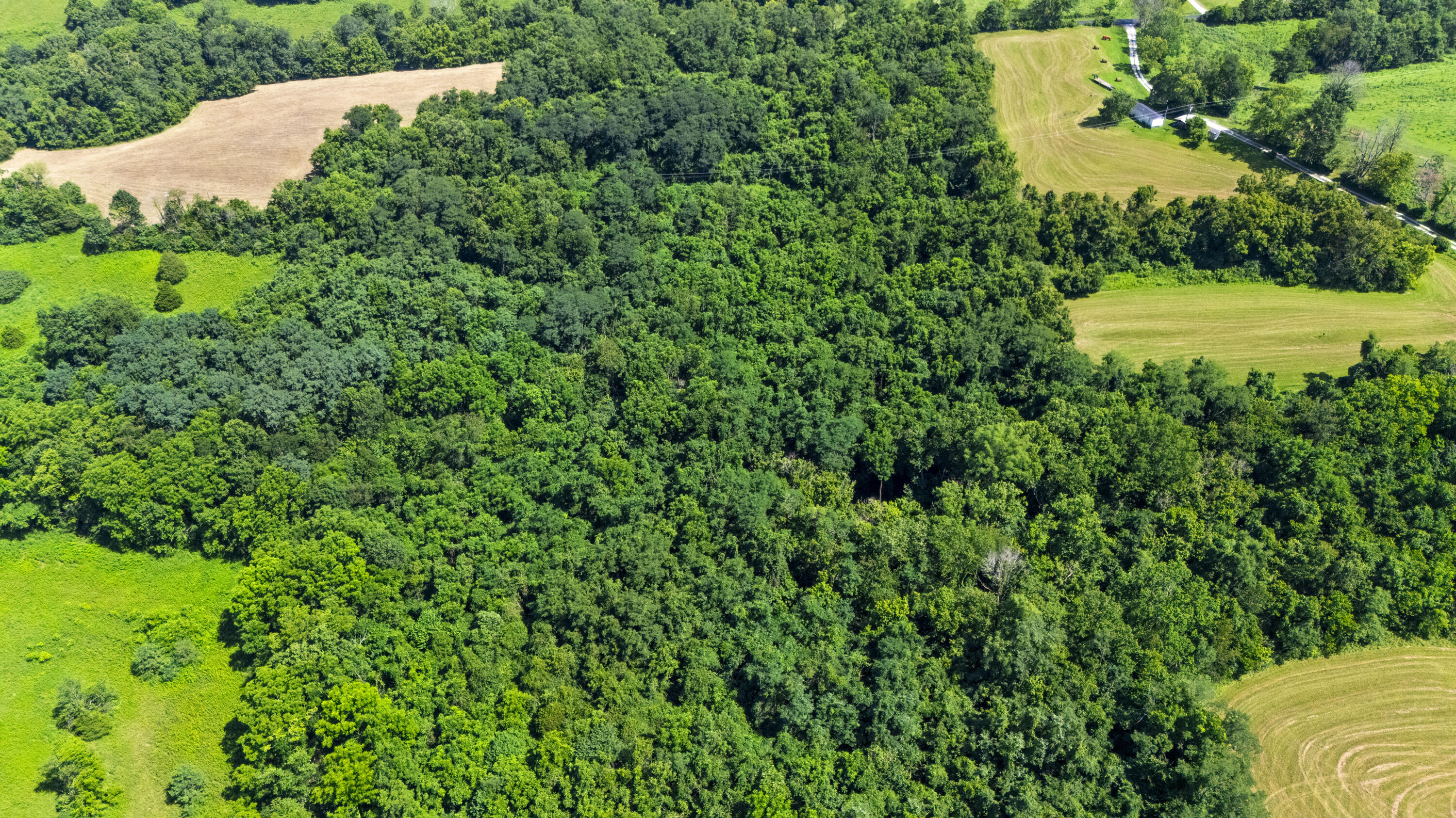 223A Plum Lick Road