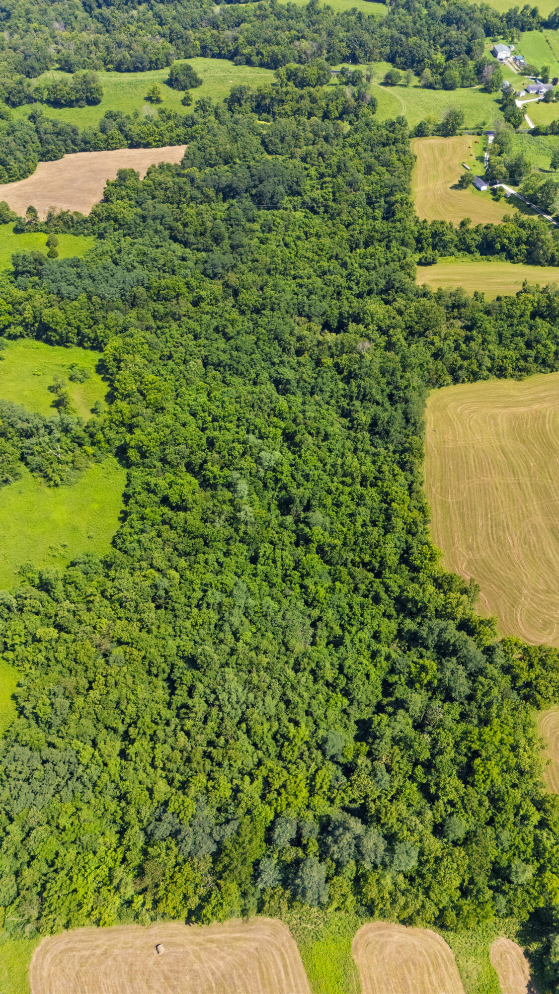 223A Plum Lick Road
