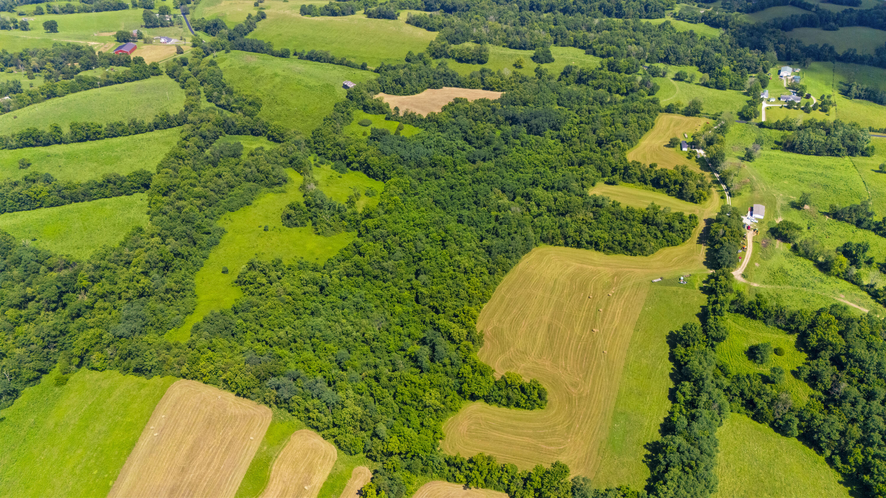 223A Plum Lick Road