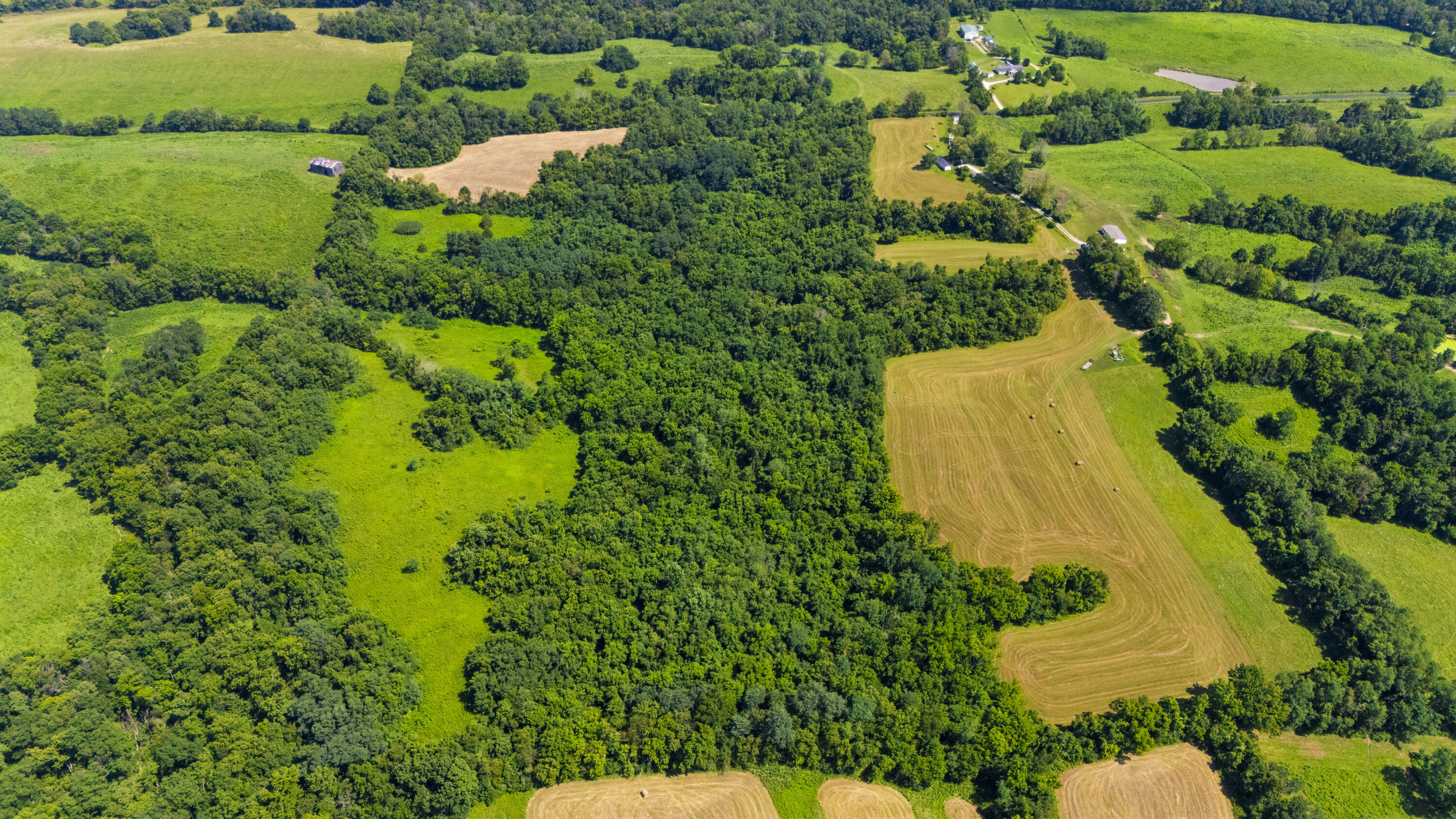 223A Plum Lick Road