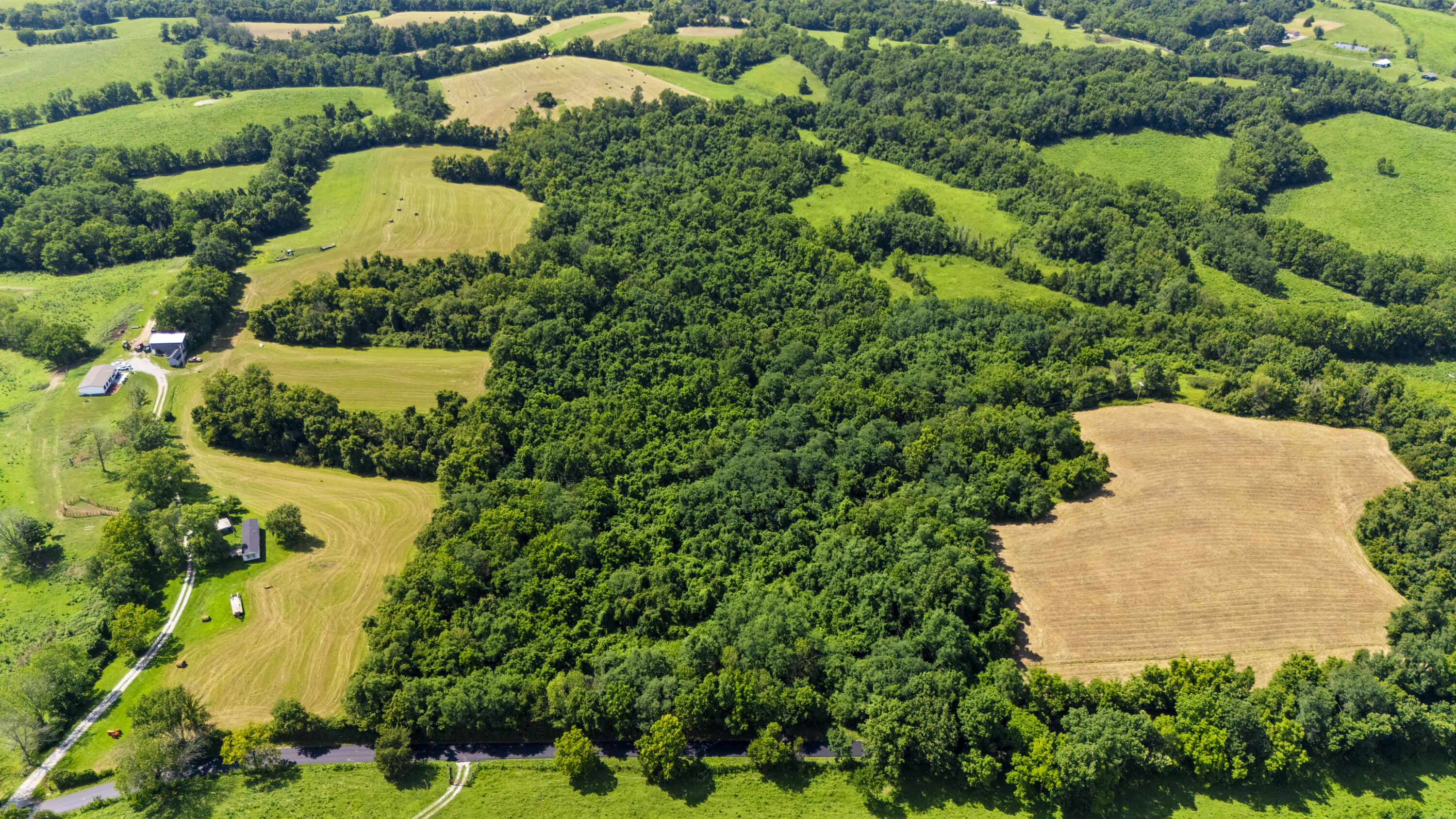 223A Plum Lick Road