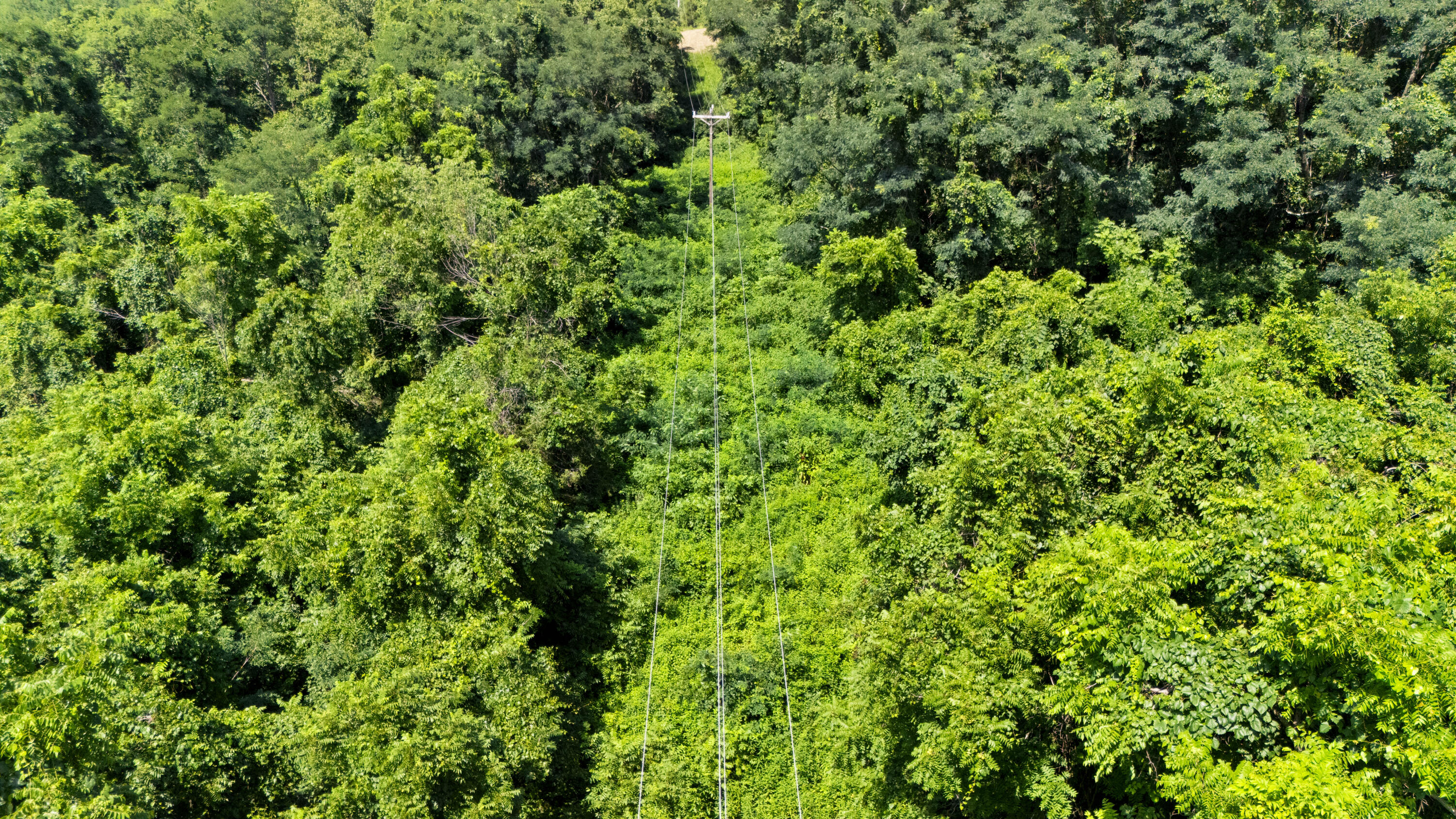 223A Plum Lick Road