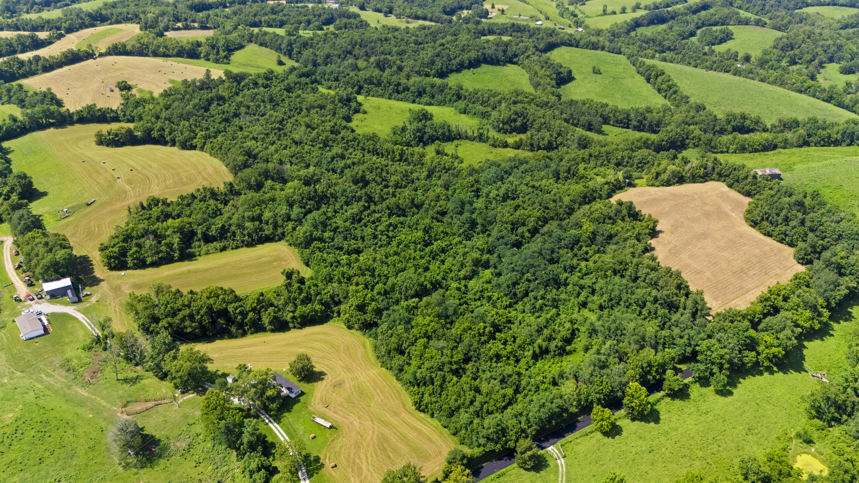 223A Plum Lick Road