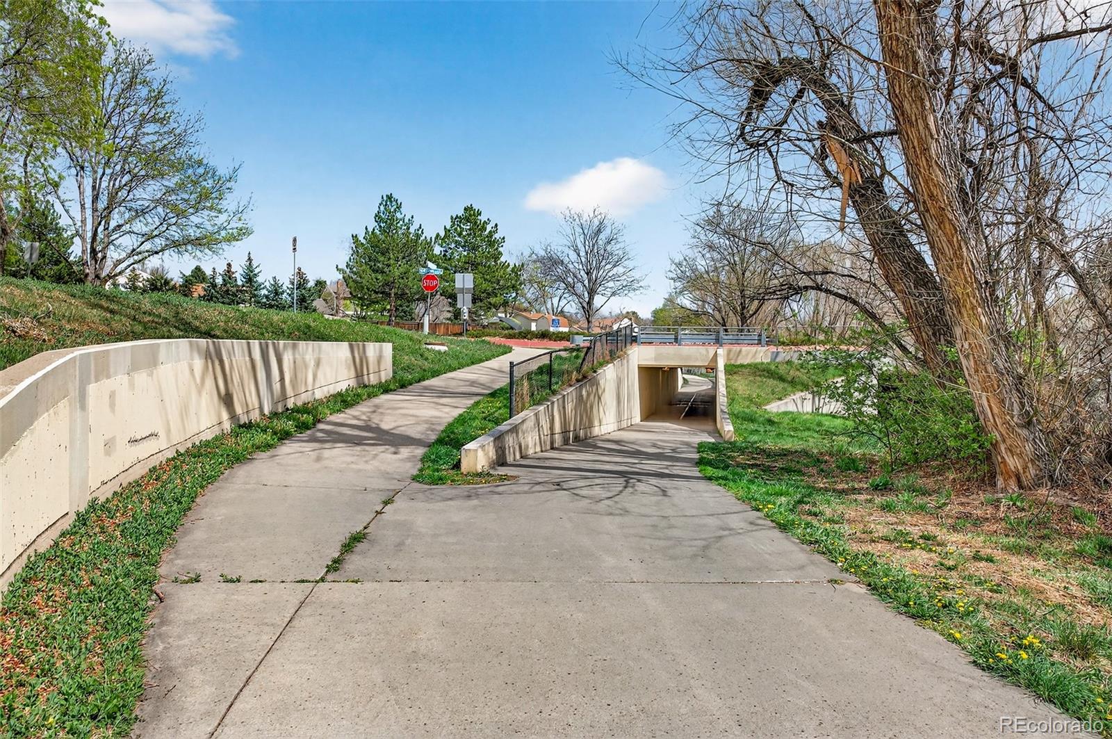 10023 W 81st Lane