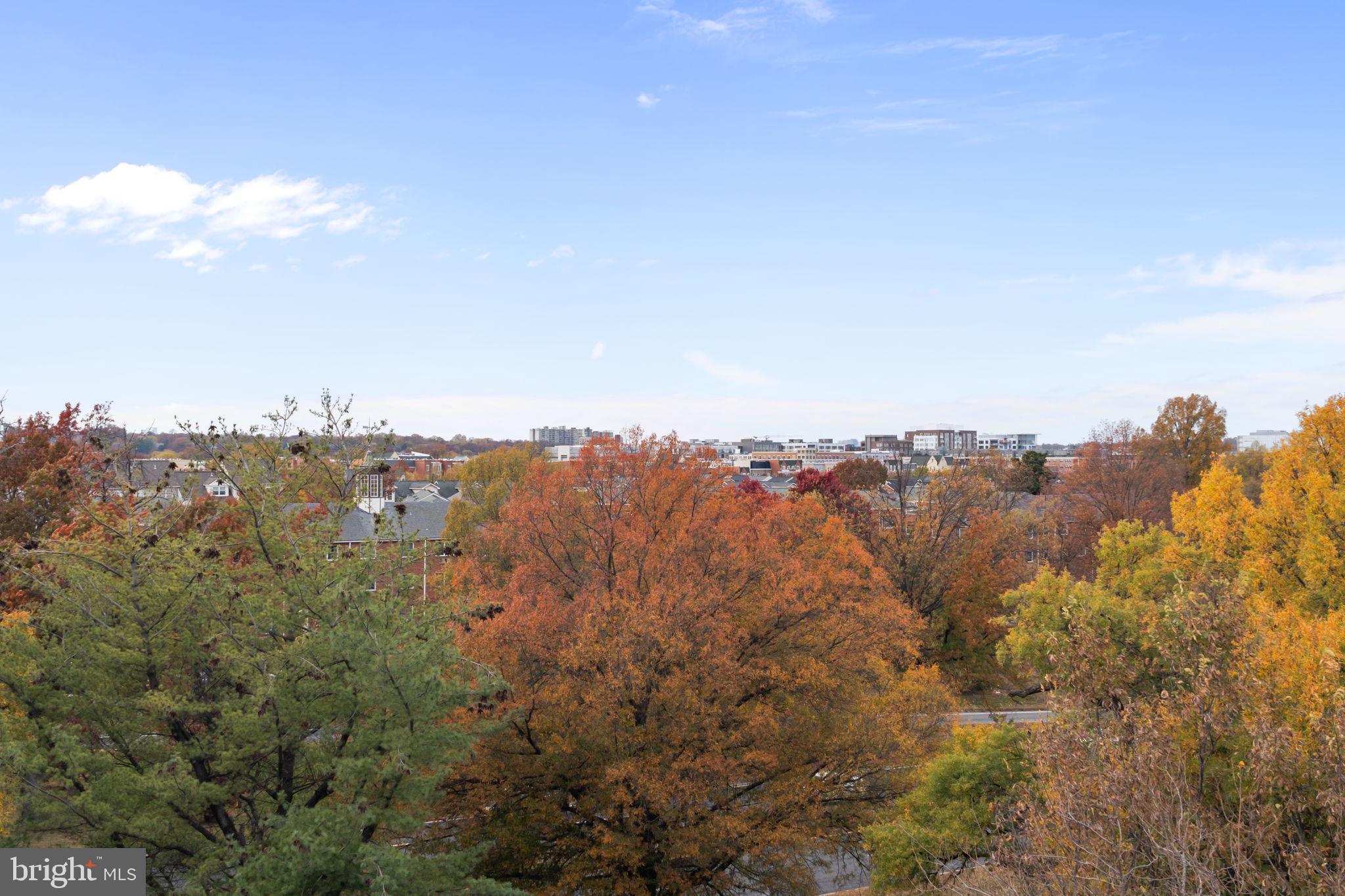 625 SLATERS LANE 402