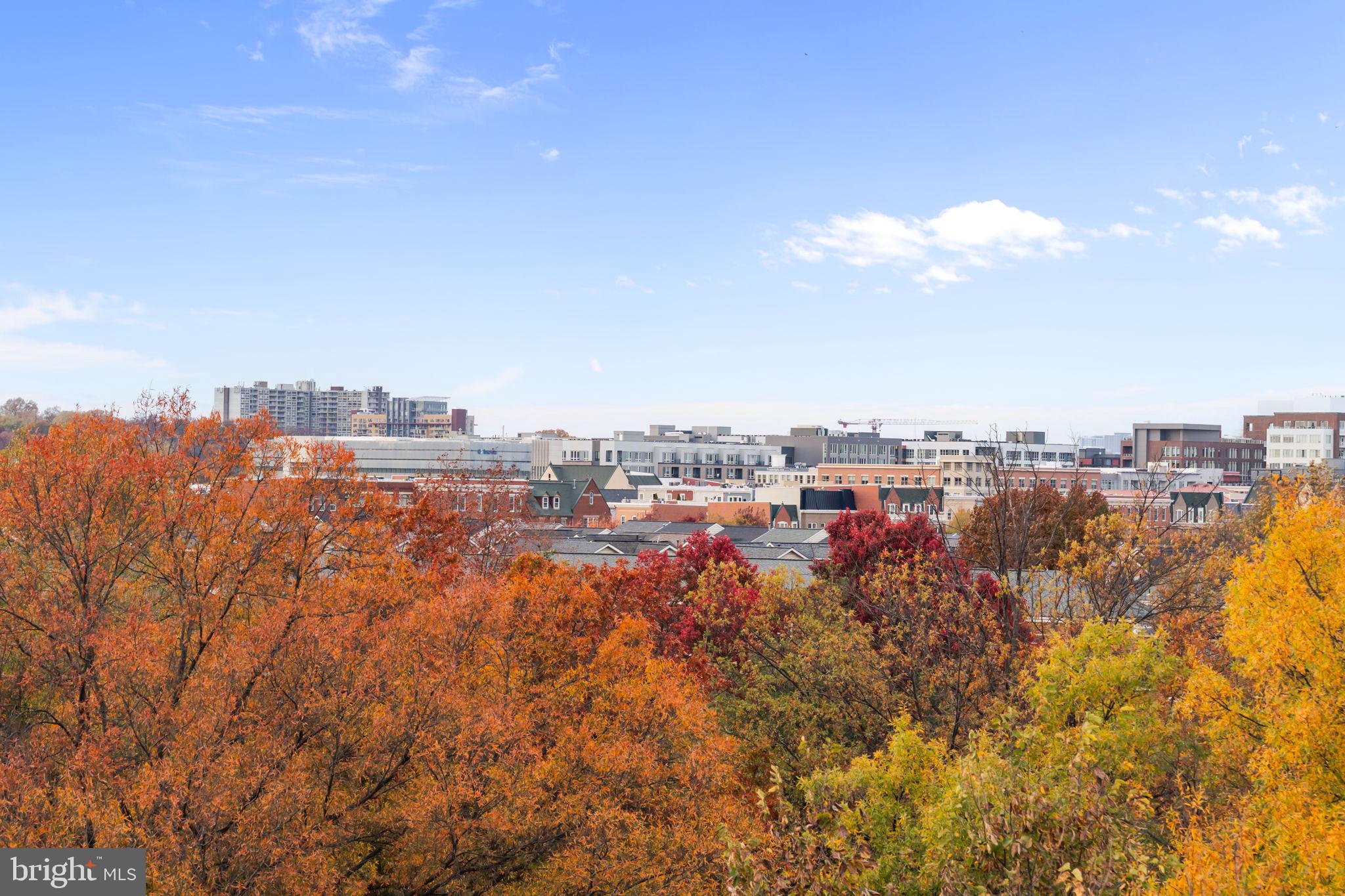 625 SLATERS LANE 402