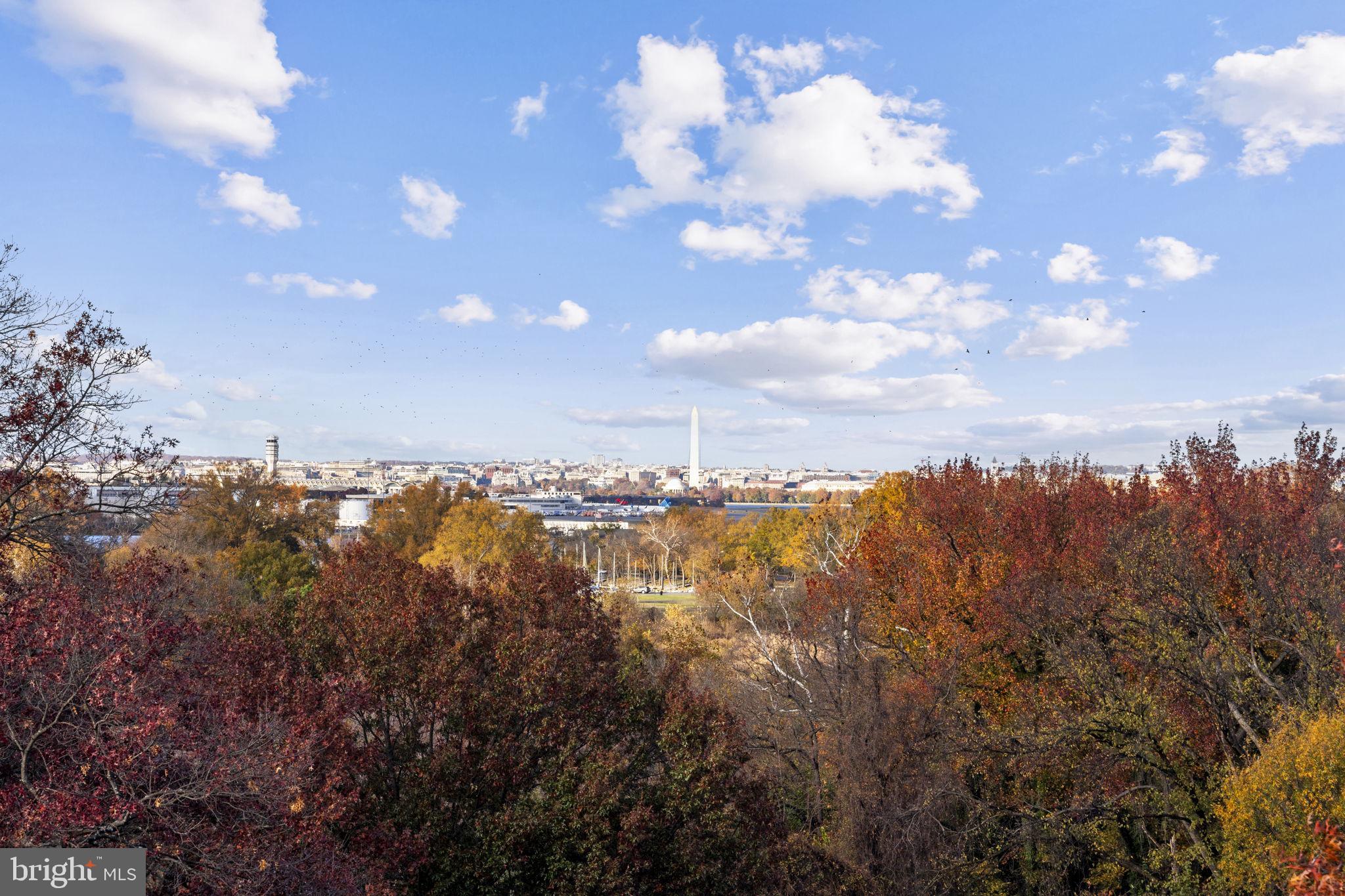 625 SLATERS LANE 402