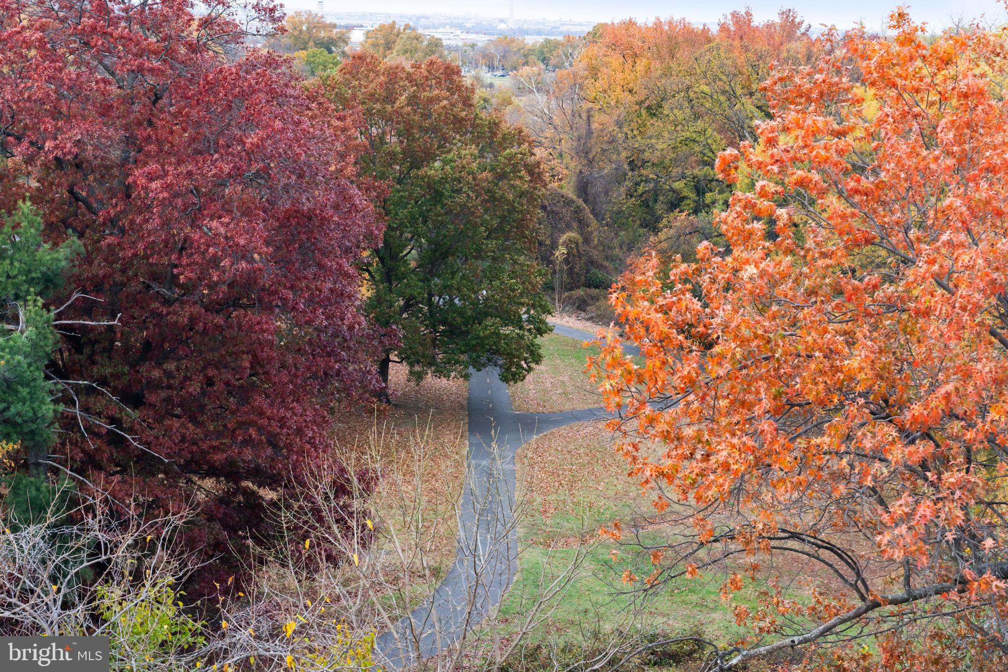 625 SLATERS LANE 402