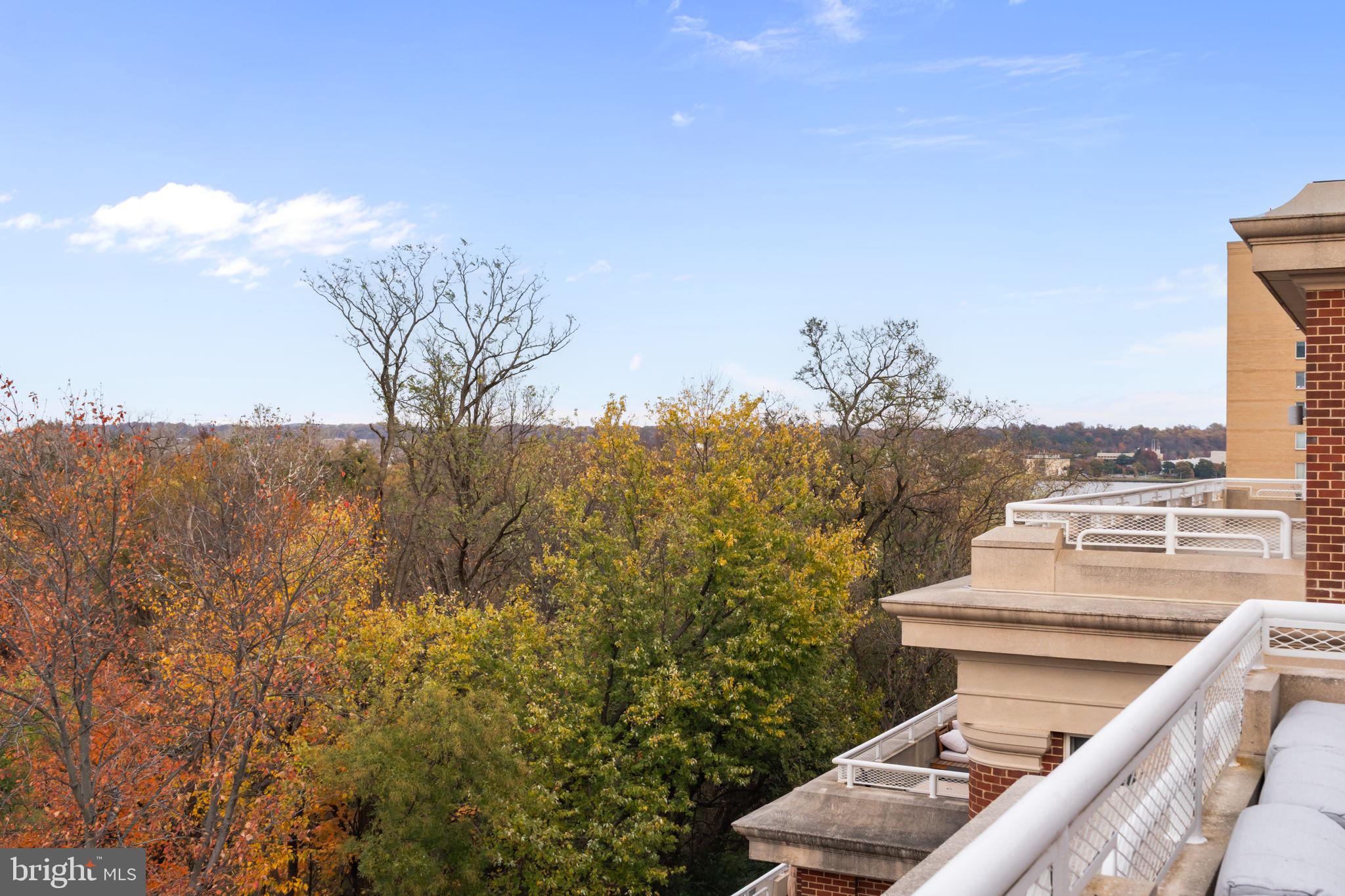 625 SLATERS LANE 402