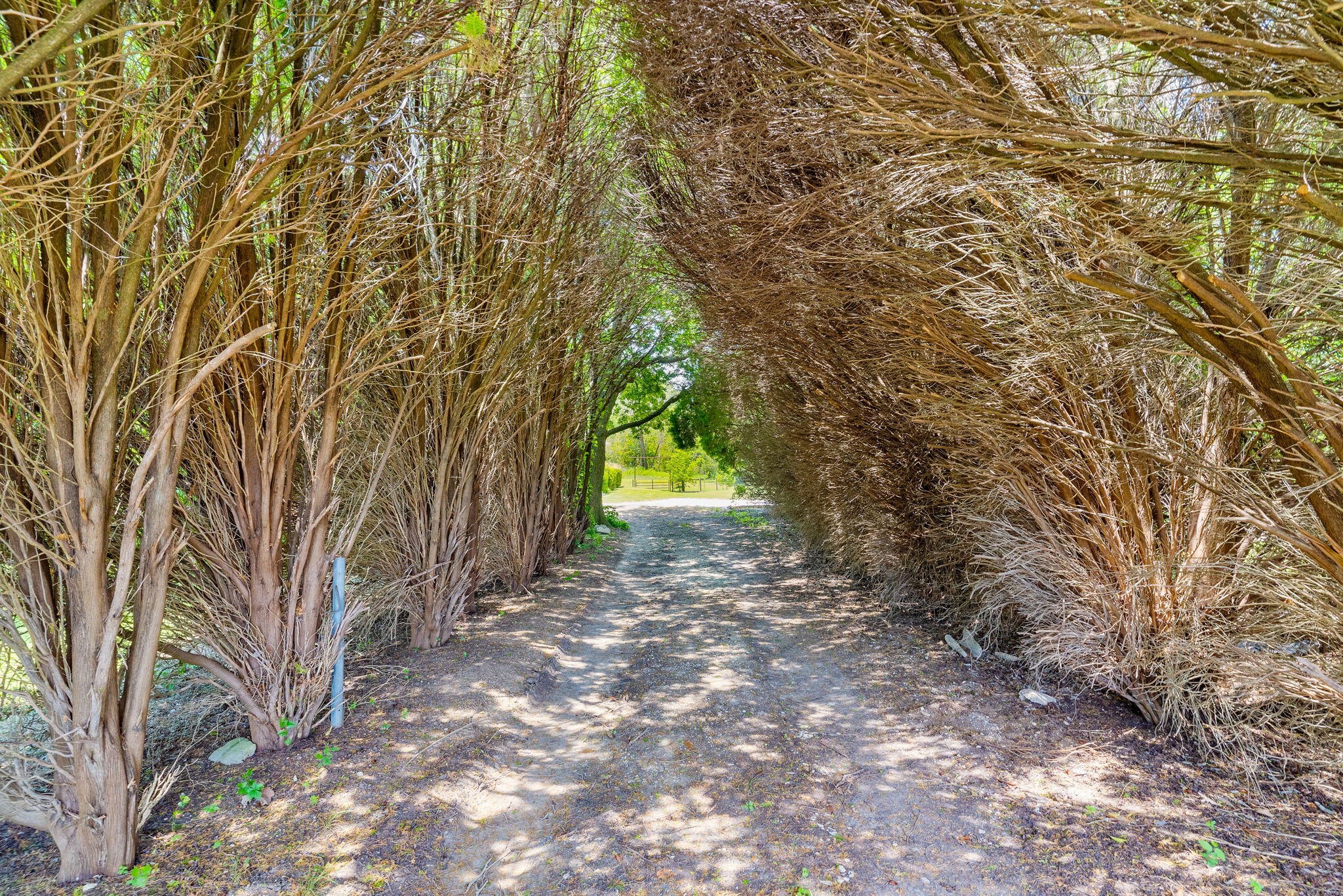 9650 Twin Creeks Circle